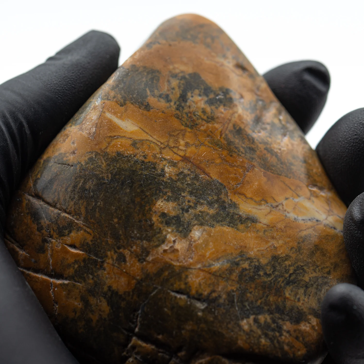 Duck Creek Dolomite - 3.345" Stromatolite Formation - Image 4