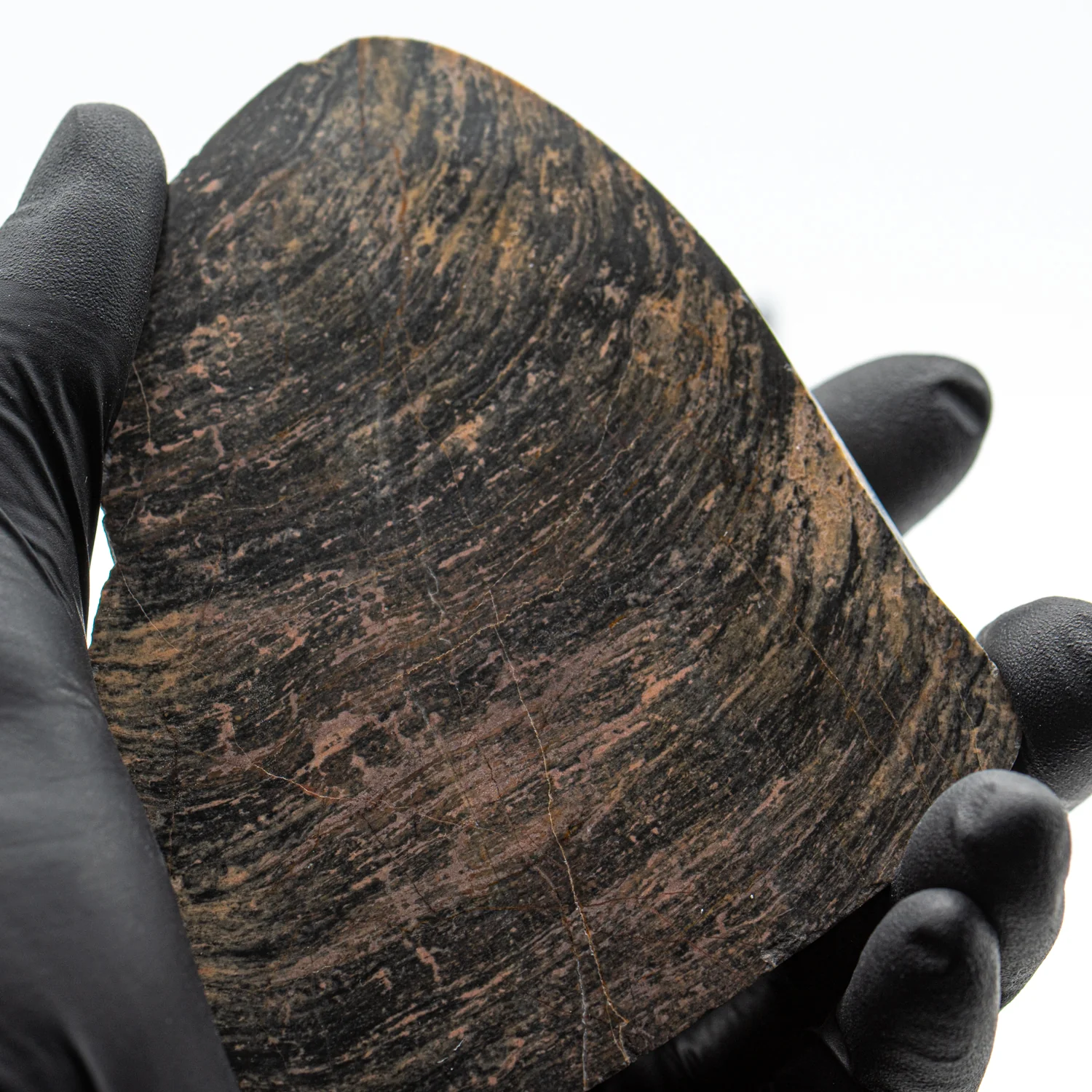 Duck Creek Dolomite - 3.781" Stromatolite Formation - Image 2