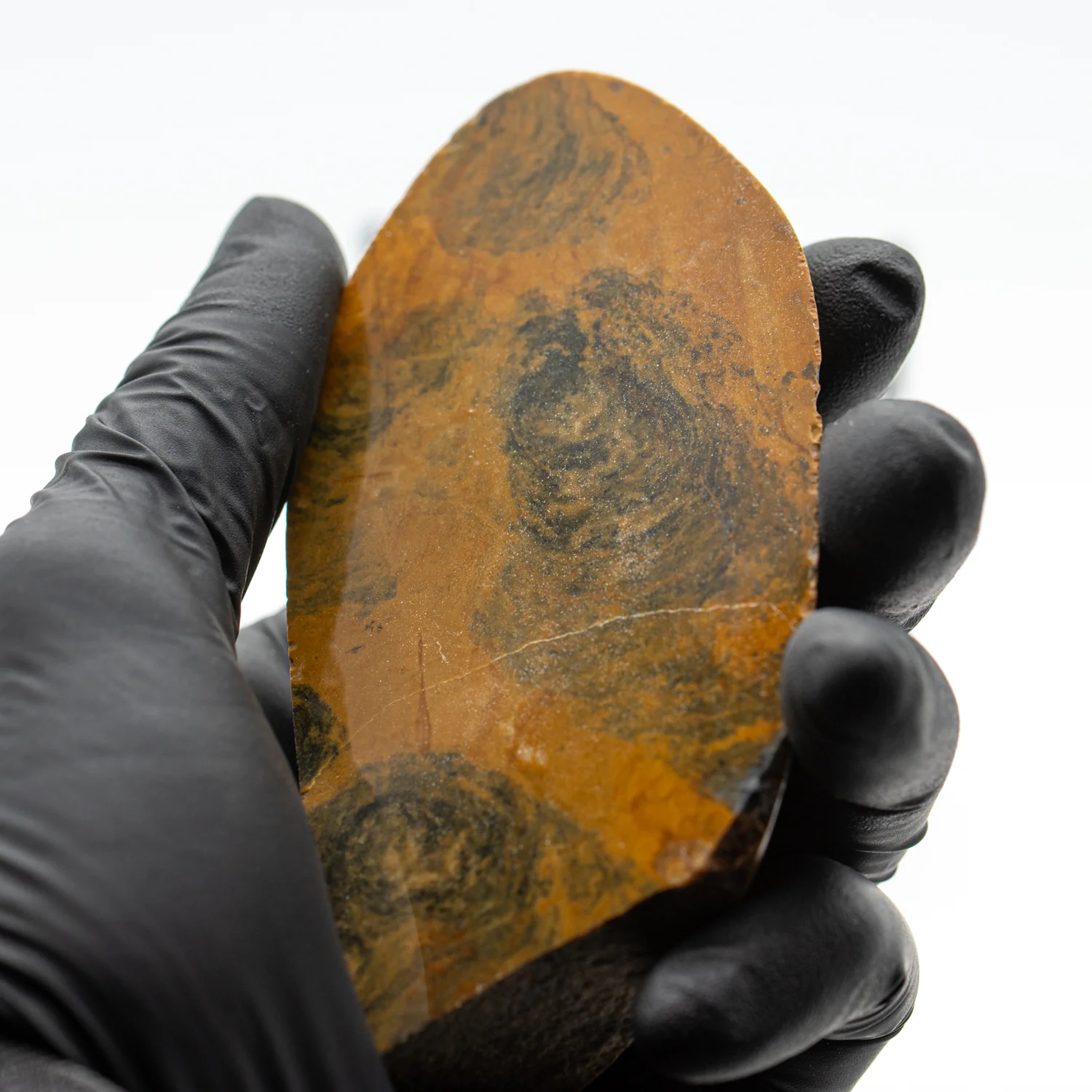 Duck Creek Dolomite - 3.871" Stromatolite Formation - Image 2
