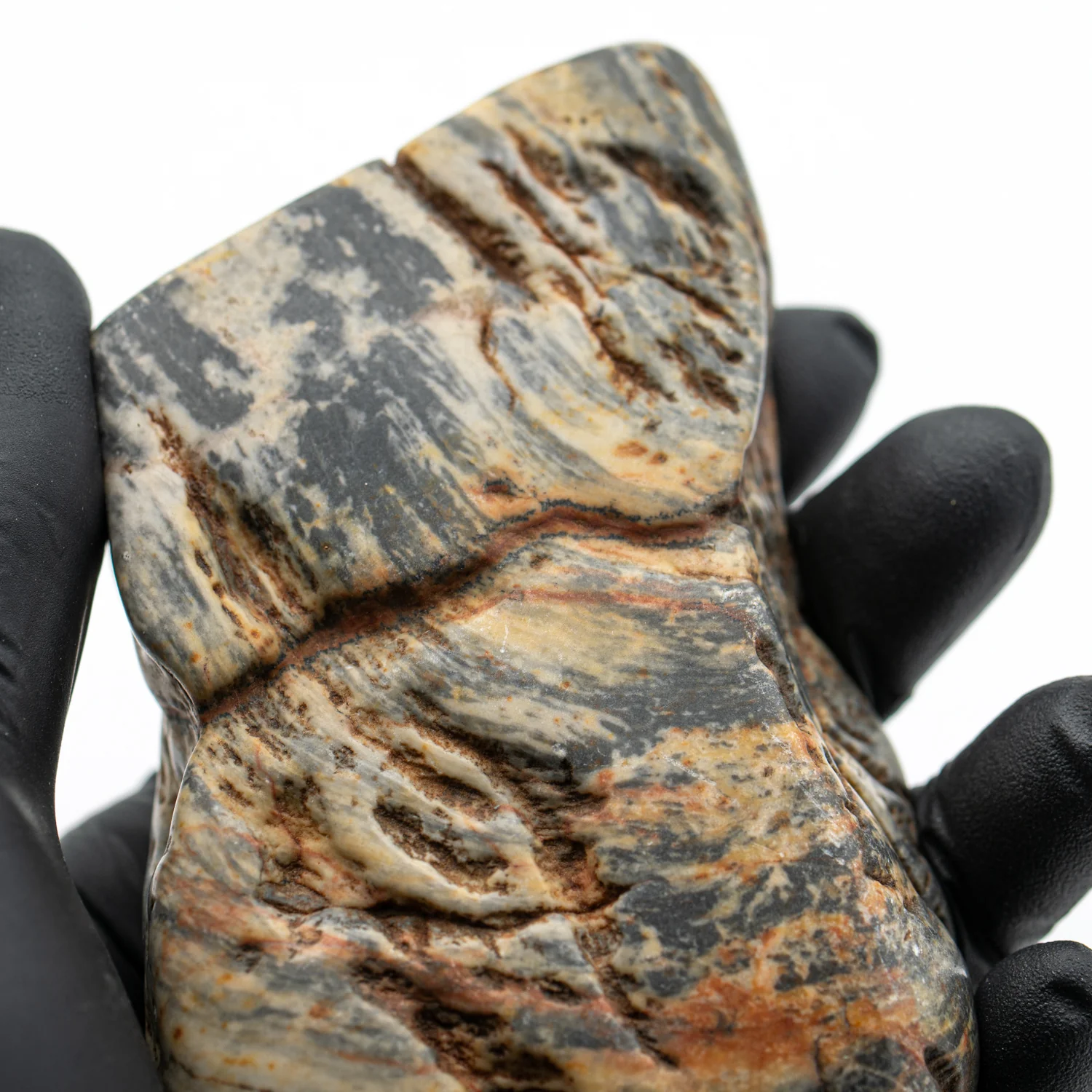 Duck Creek Dolomite - SOLD 4.214" Stromatolite Formation - Image 2