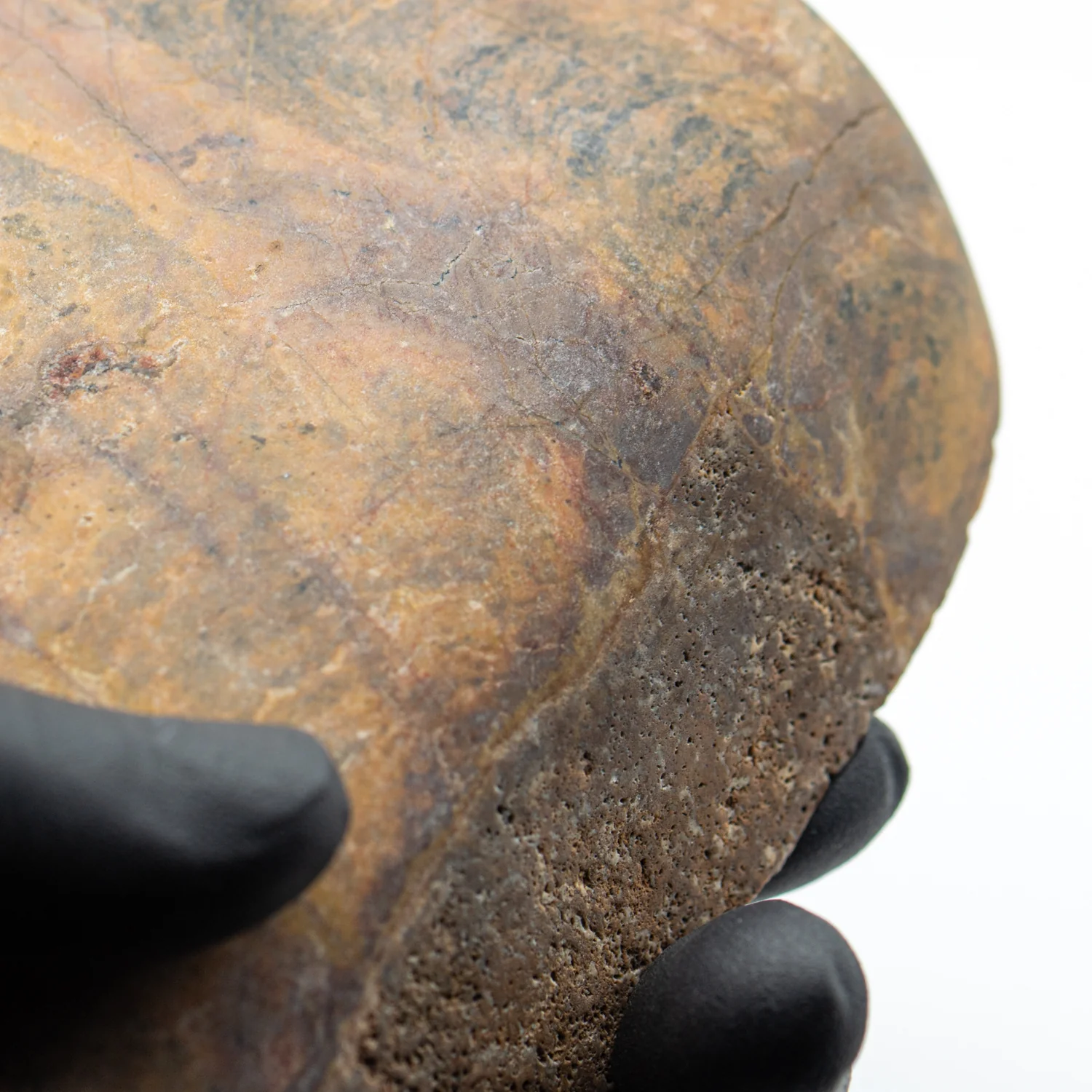 Duck Creek Dolomite - 5.329" Stromatolite Formation - Image 4