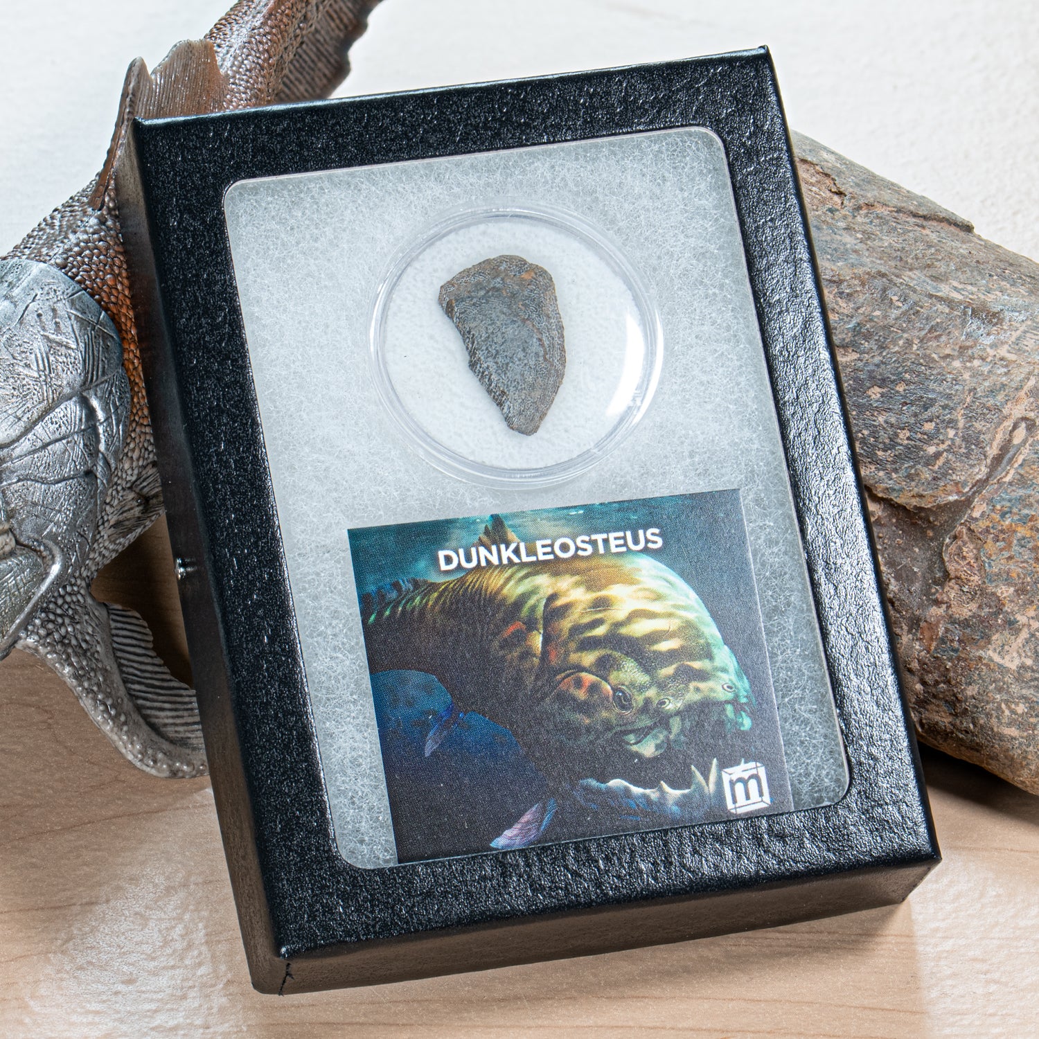 Dunkleosteus - Skull Fossil Fragment - Image 7