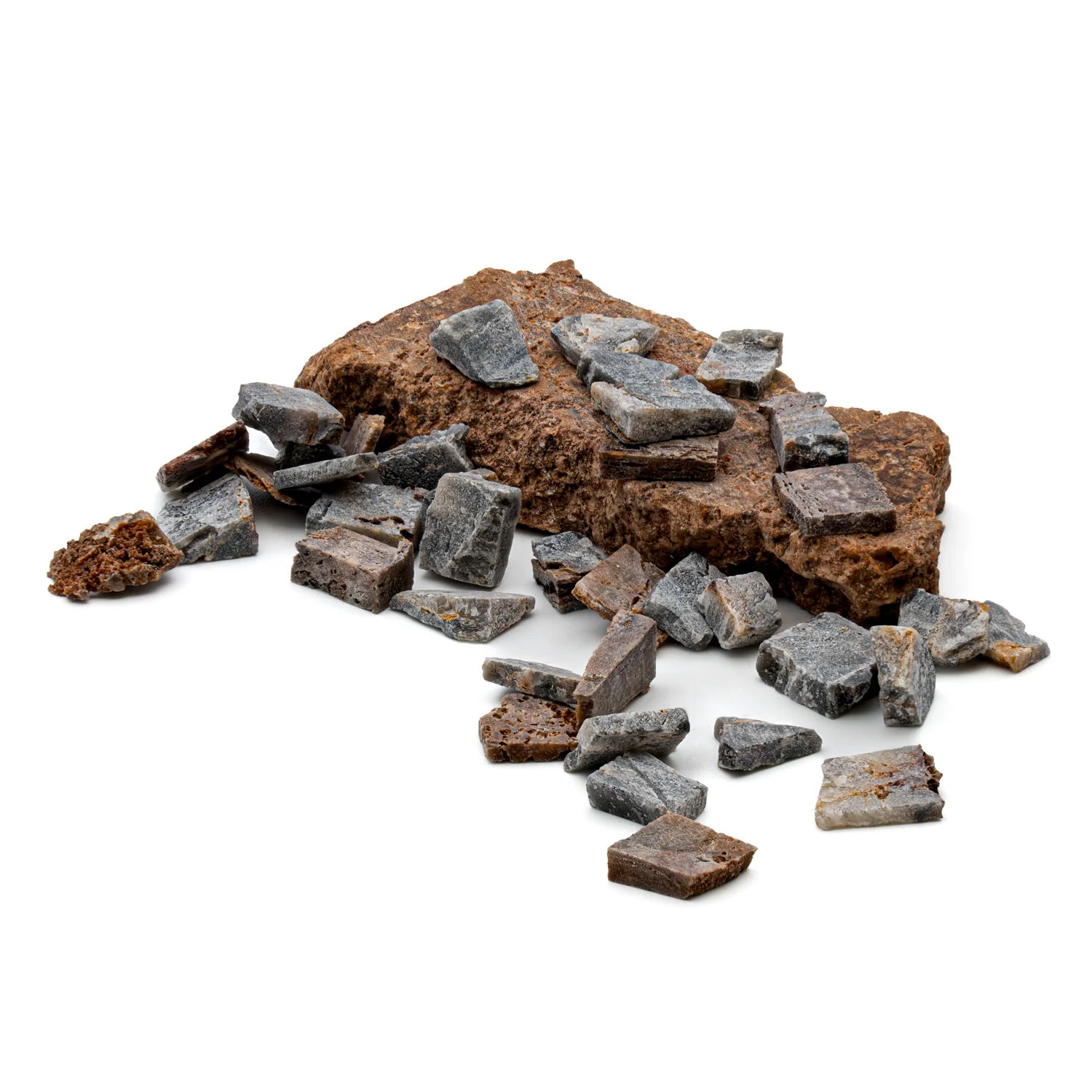 Earliest Life - North Pole Dome Stromatolite - Classic Riker Box Specimen - Image 3