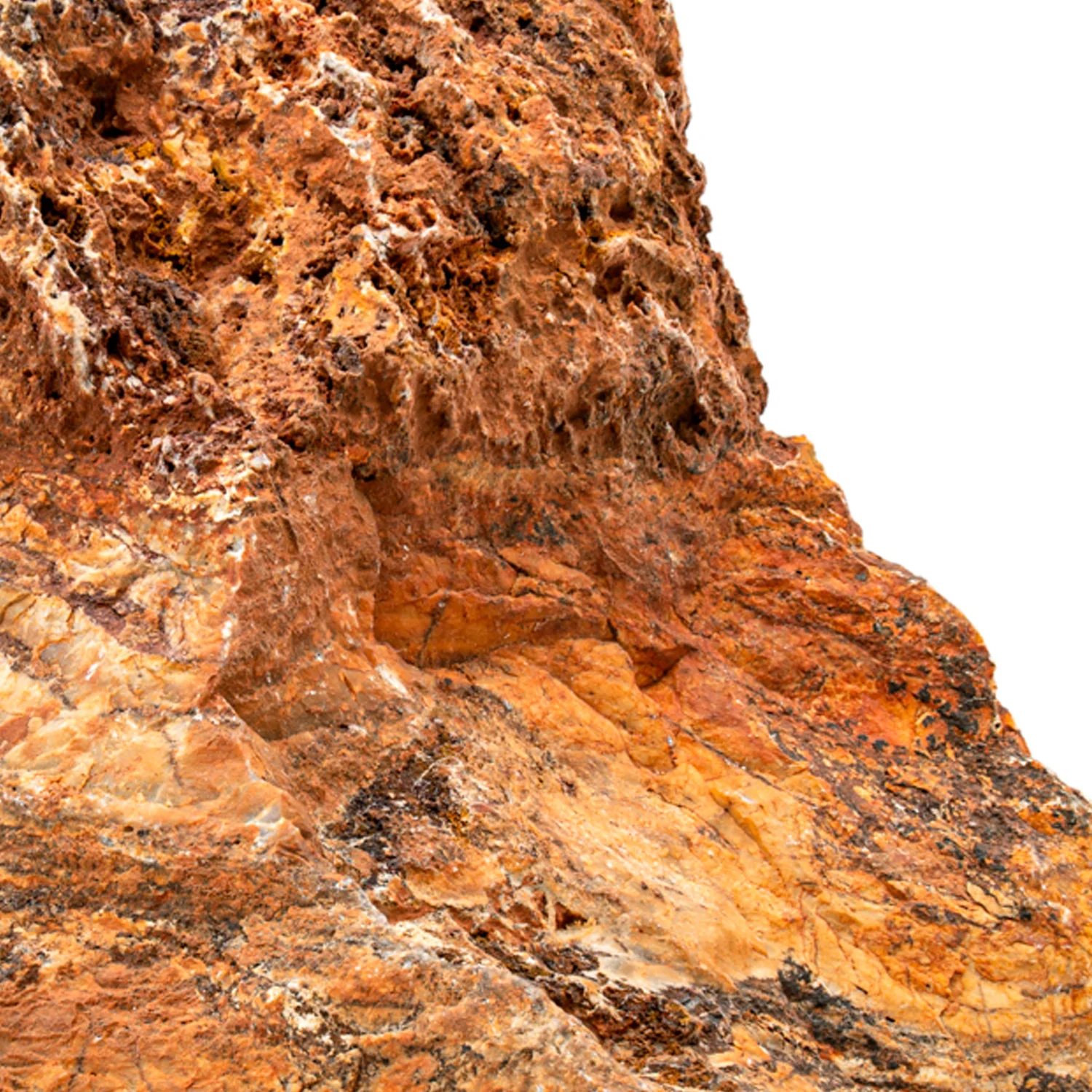 Earliest Life - North Pole Dome Stromatolite - Rough - SOLD 4.16" - Image 2