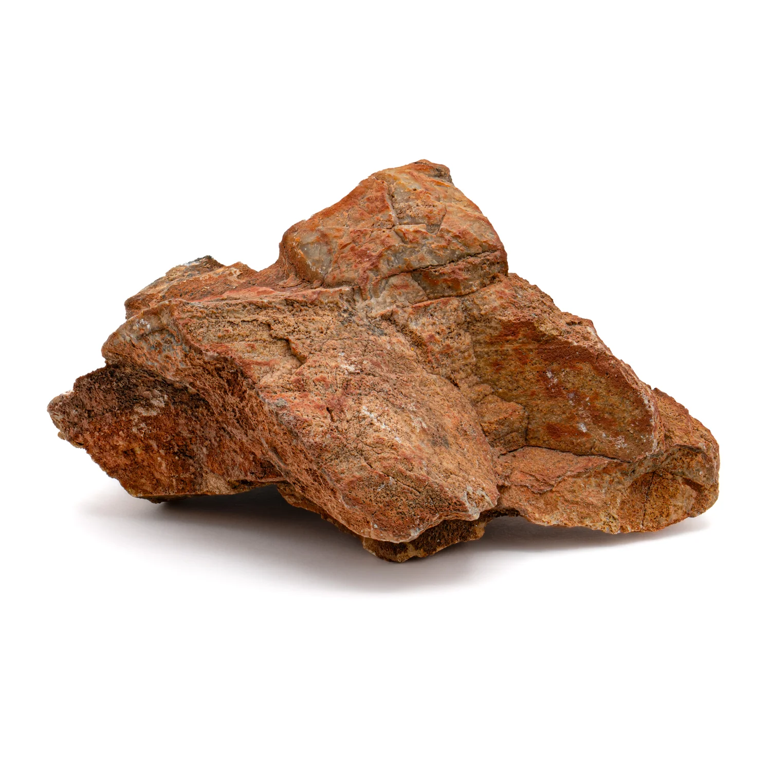 Earliest Life - Strelley Pool Stromatolite - 4.07" - Image 2