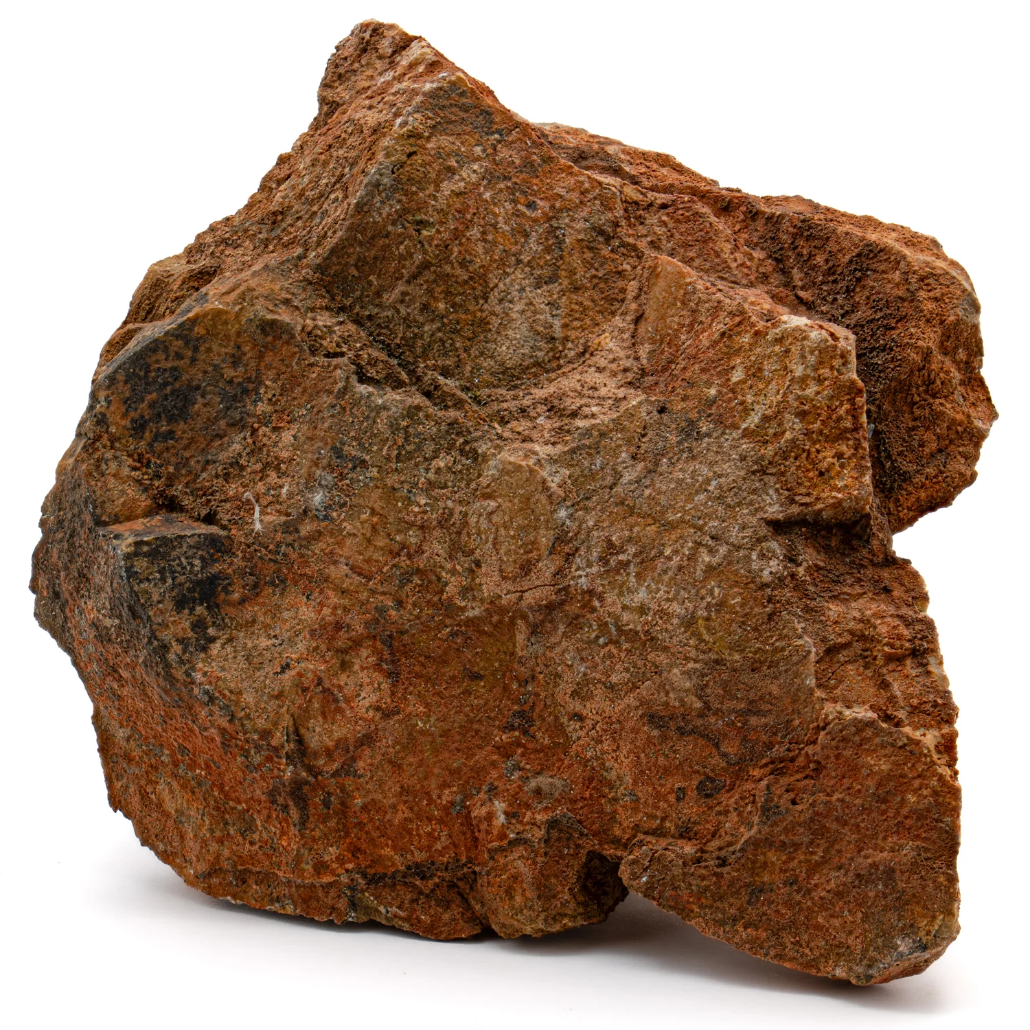 Earliest Life - Strelley Pool Stromatolite - 4.07" - Image 4
