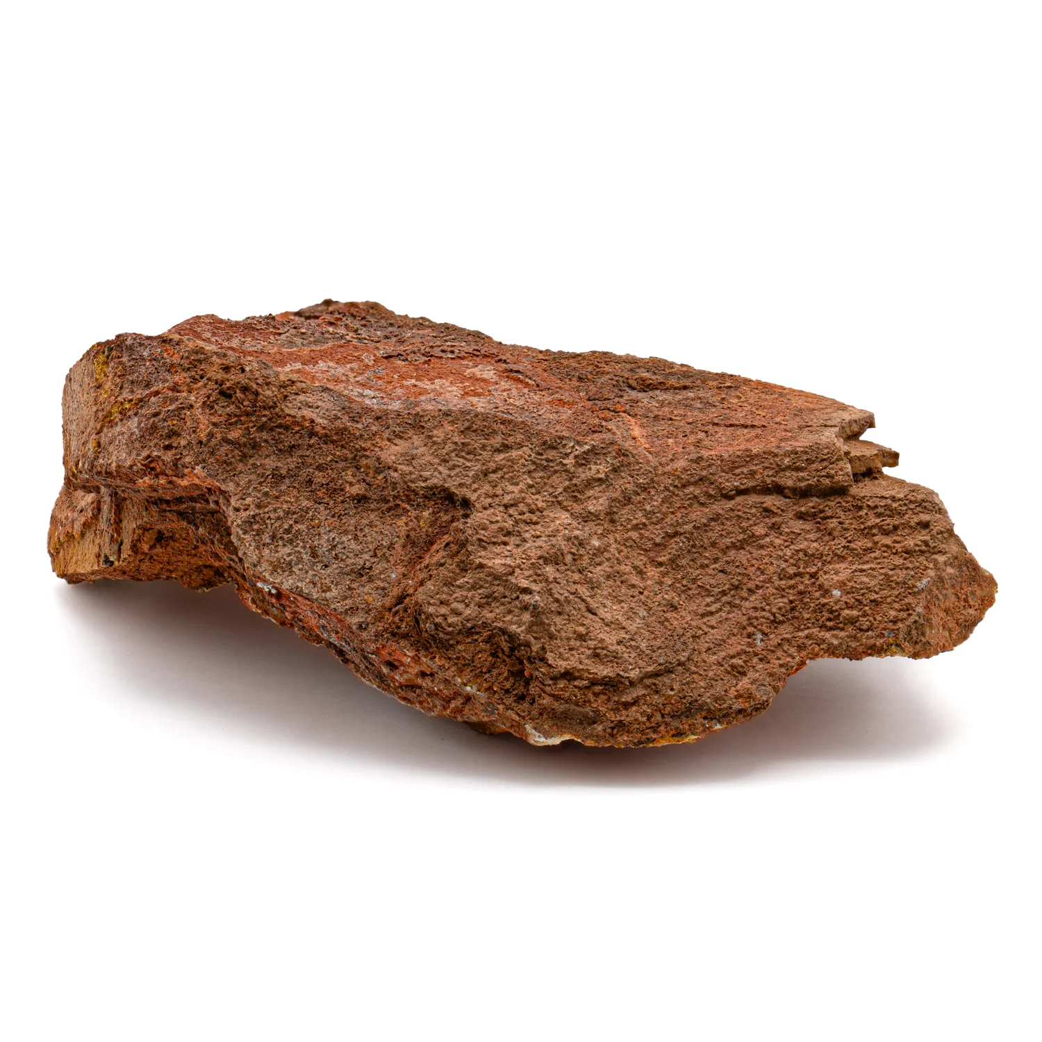 Earliest Life - Strelley Pool Stromatolite - 4.99" - Image 3