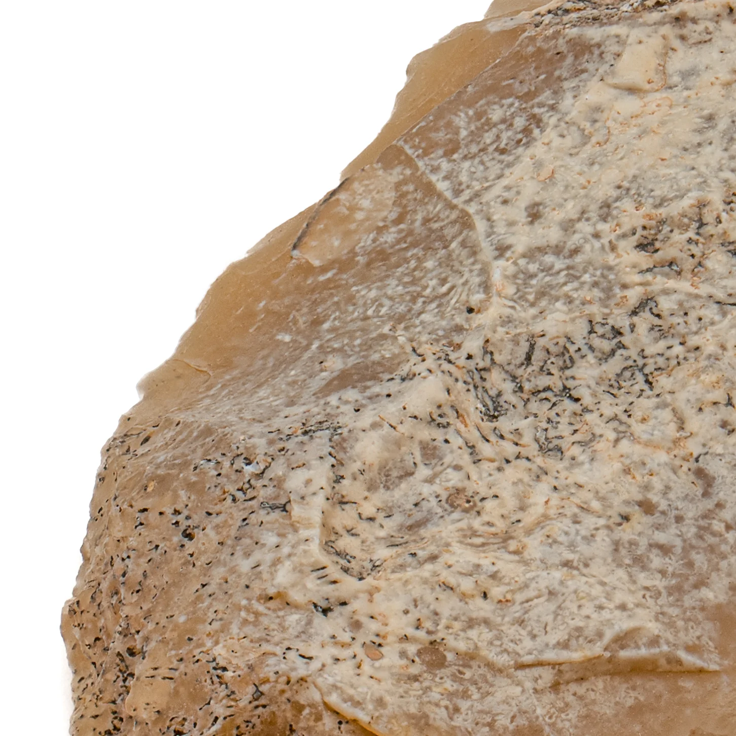 Early Neolithic Stone SOLD 2.091" Scraper - Image 2