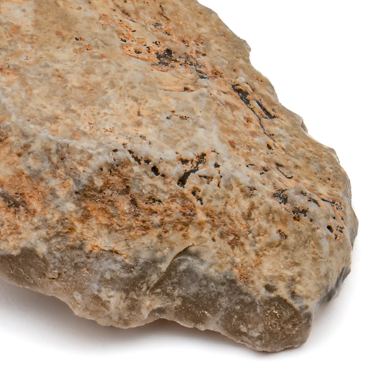 Early Neolithic Stone 2.185" Scraper - Image 3