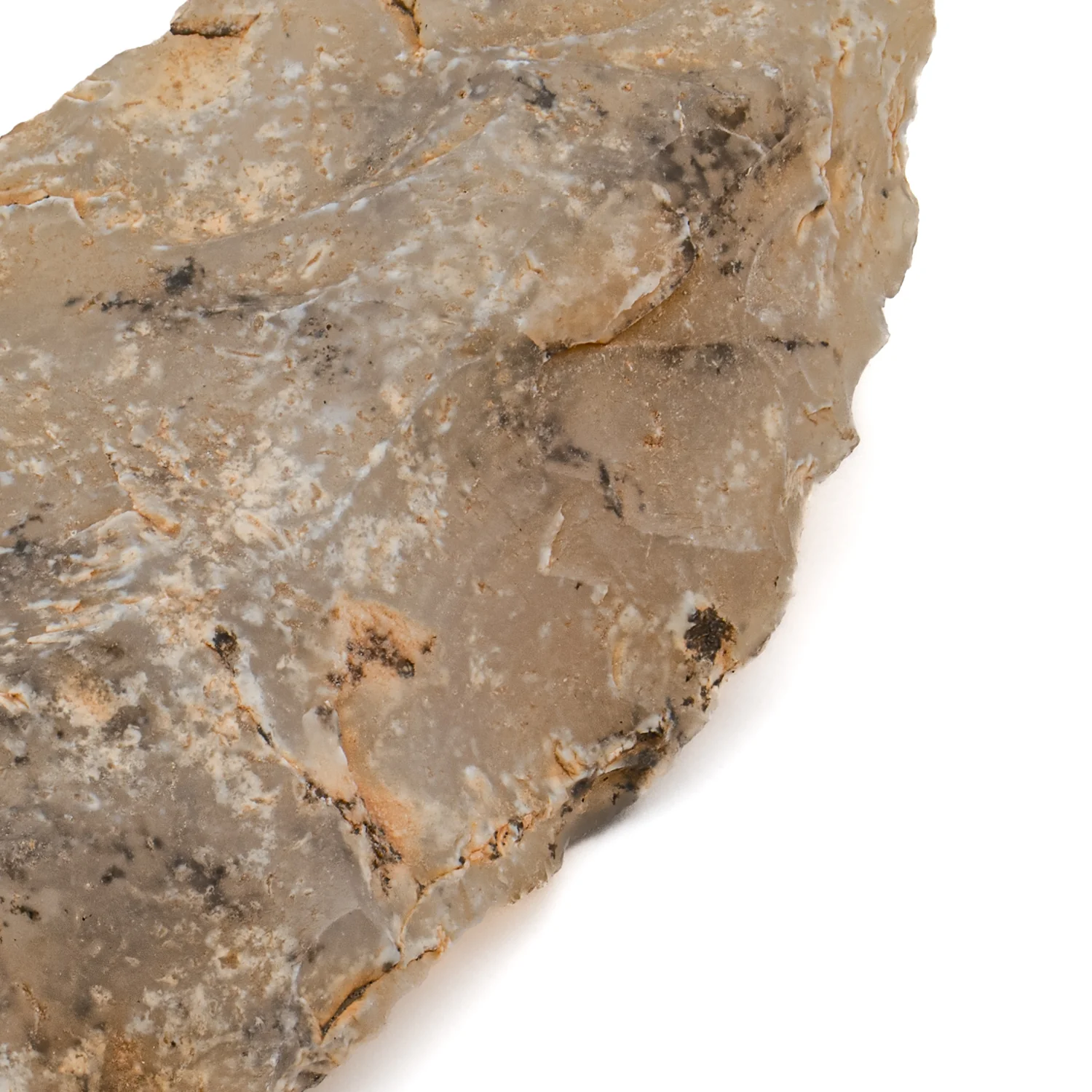 Early Neolithic Stone 2.306" Scraper - Image 2