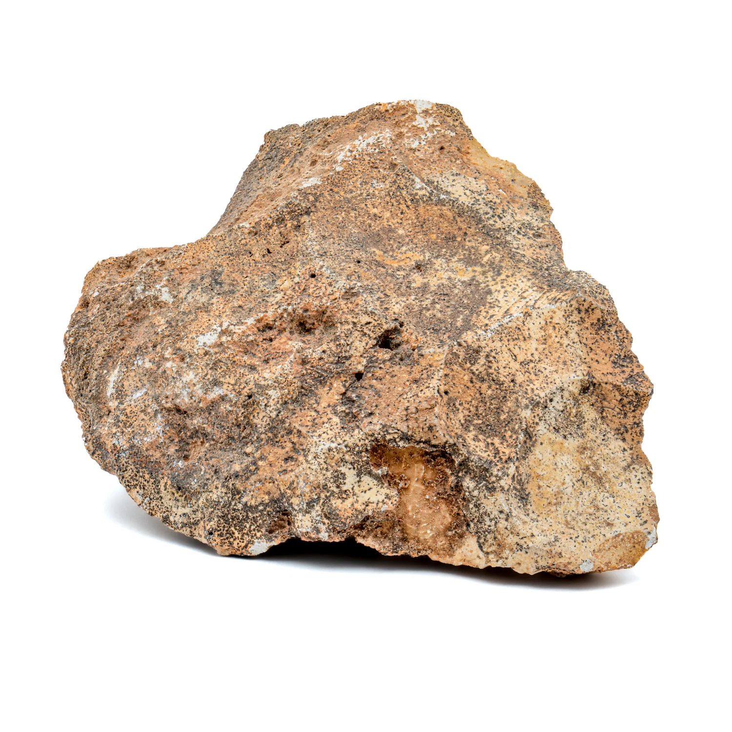 Early Neolithic Stone 3.17" Scraper - Image 2