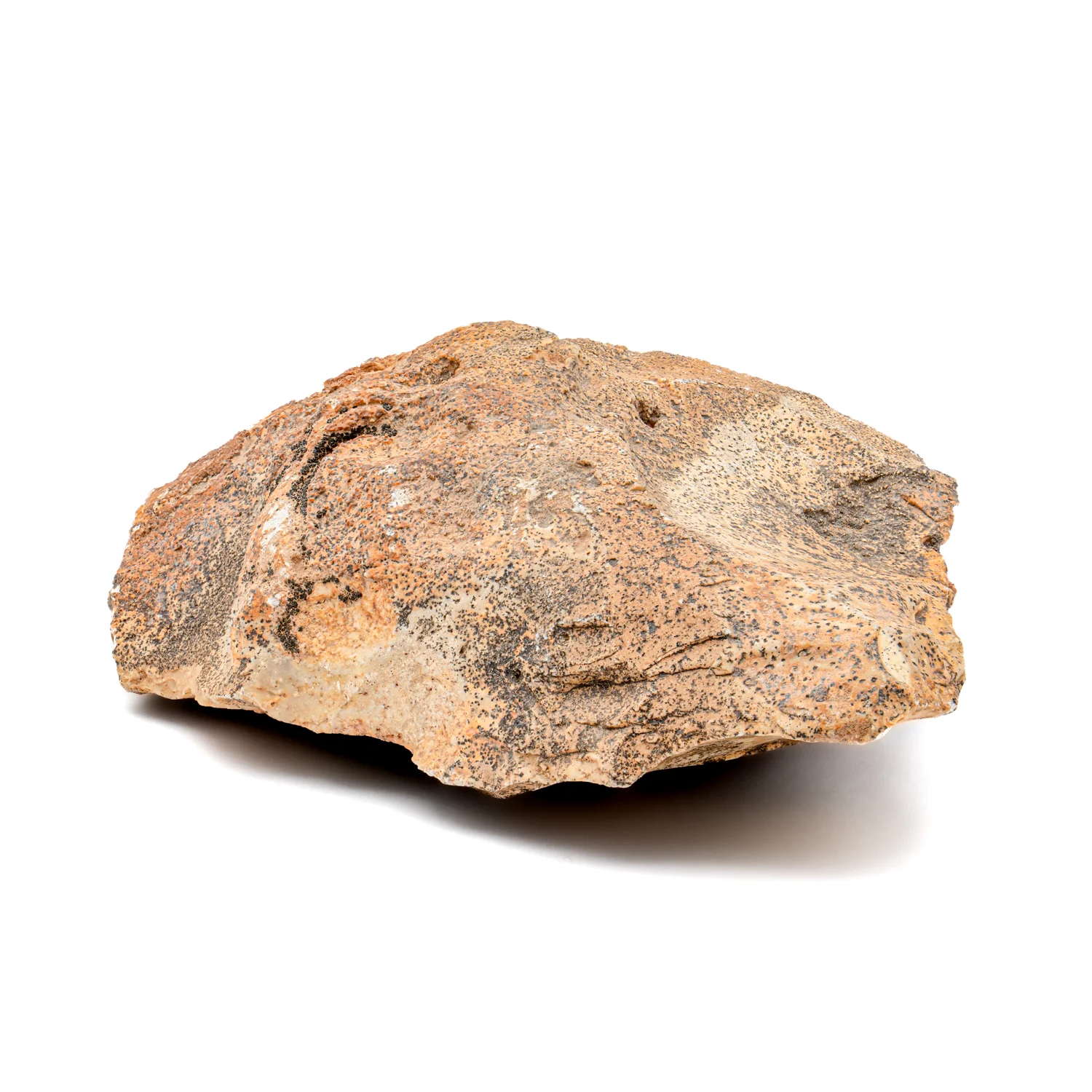 Early Neolithic Stone 3.17" Scraper - Image 3