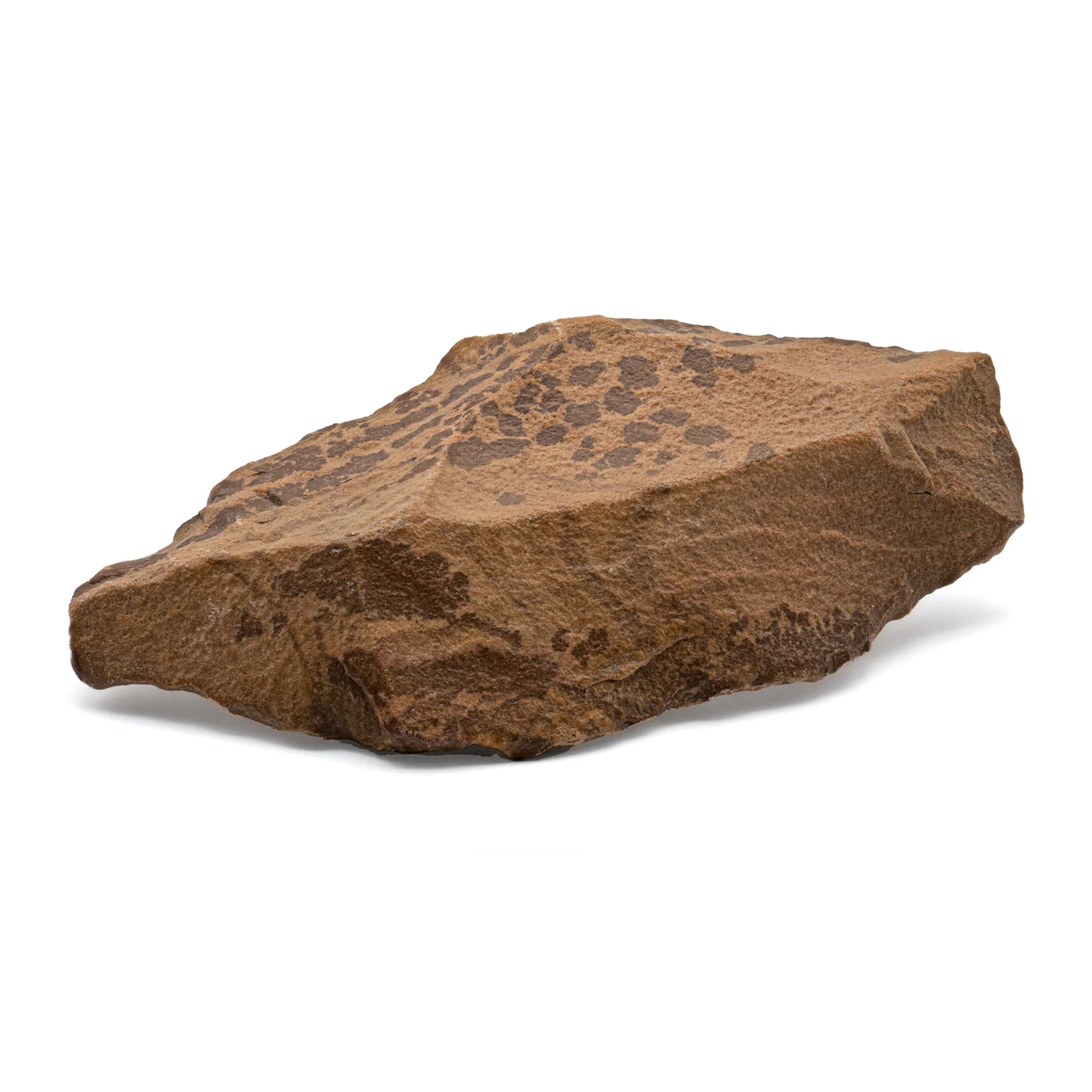 Early Neolithic Stone Tool - c. 10,000 BCE - Image 3