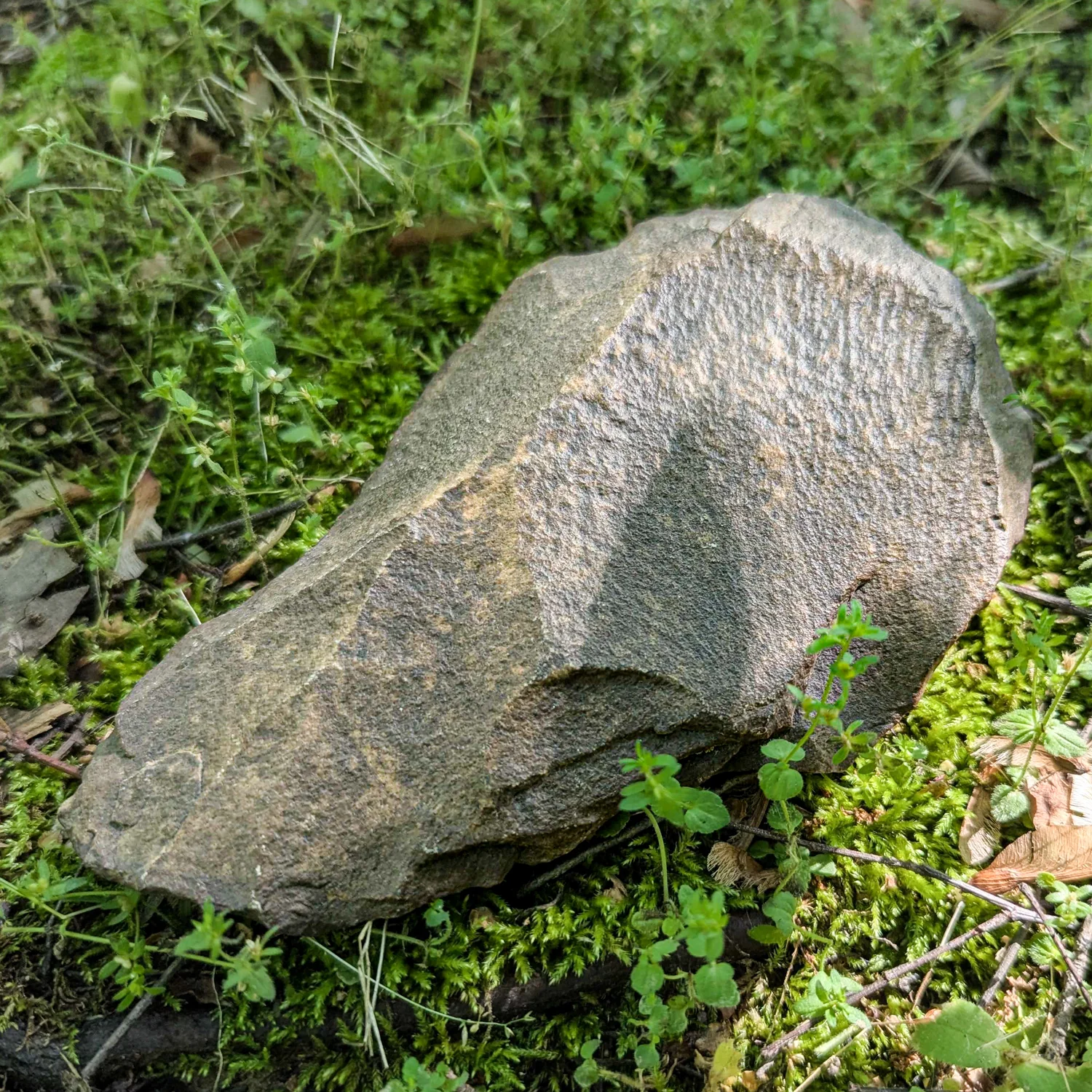 Early Neolithic Stone Tool - c. 10,000 BCE - Image 4