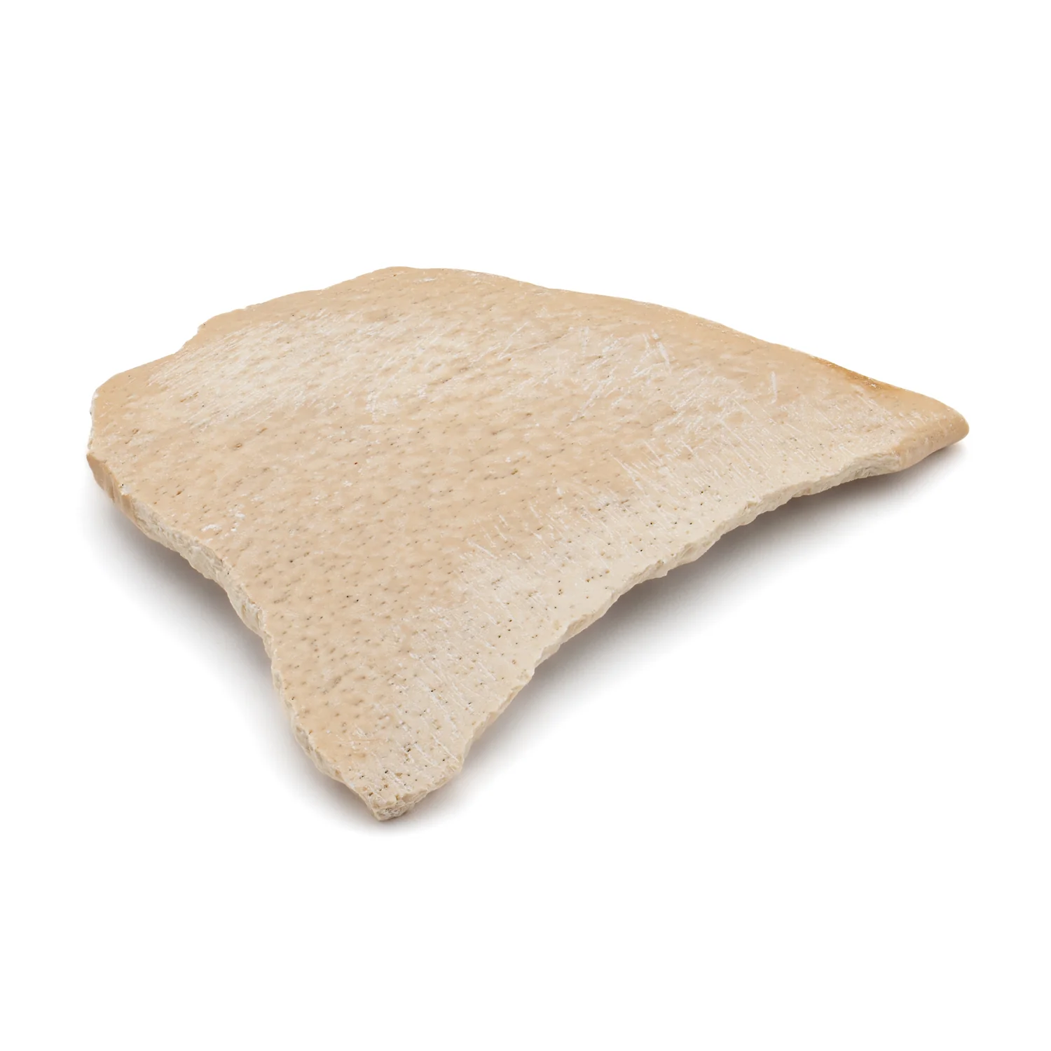 Elephant Bird Eggshell - 2.674" Fragment - Image 2