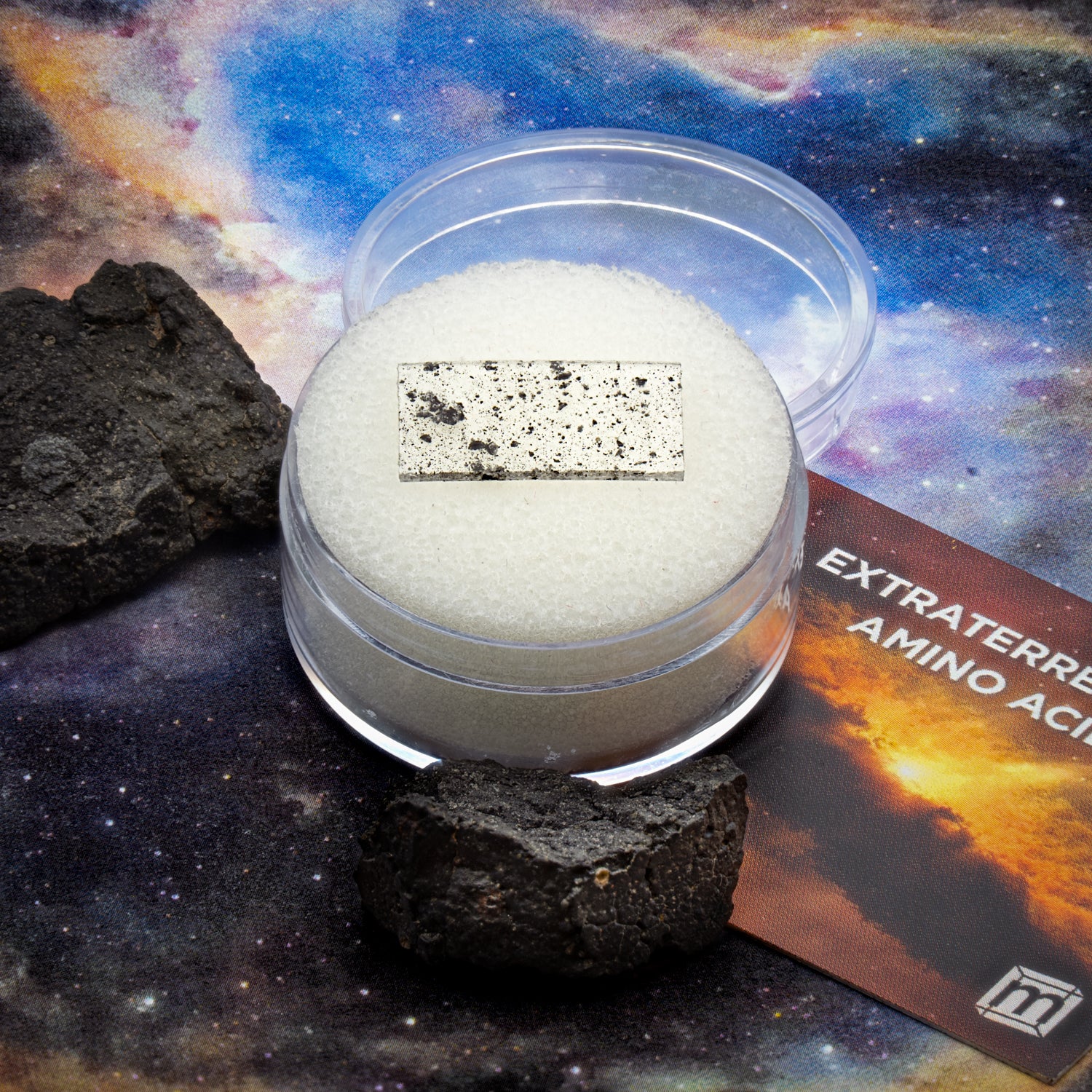 Extraterrestrial Amino Acids - CM2 Carbonaceous Chondrites - Image 4
