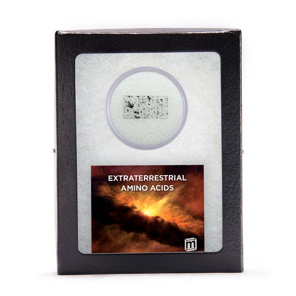 Extraterrestrial Amino Acids - CM2 Carbonaceous Chondrites - Image 5
