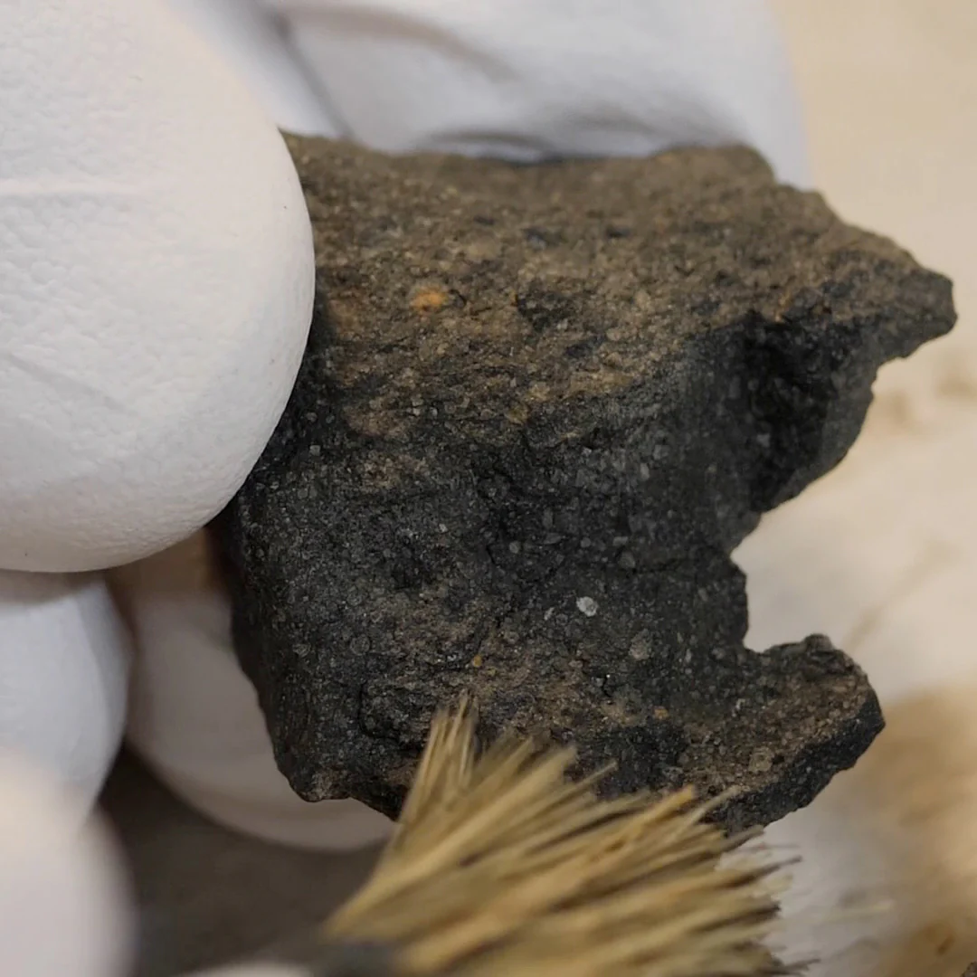 Extraterrestrial Amino Acids - CM2 Carbonaceous Chondrites - Image 6
