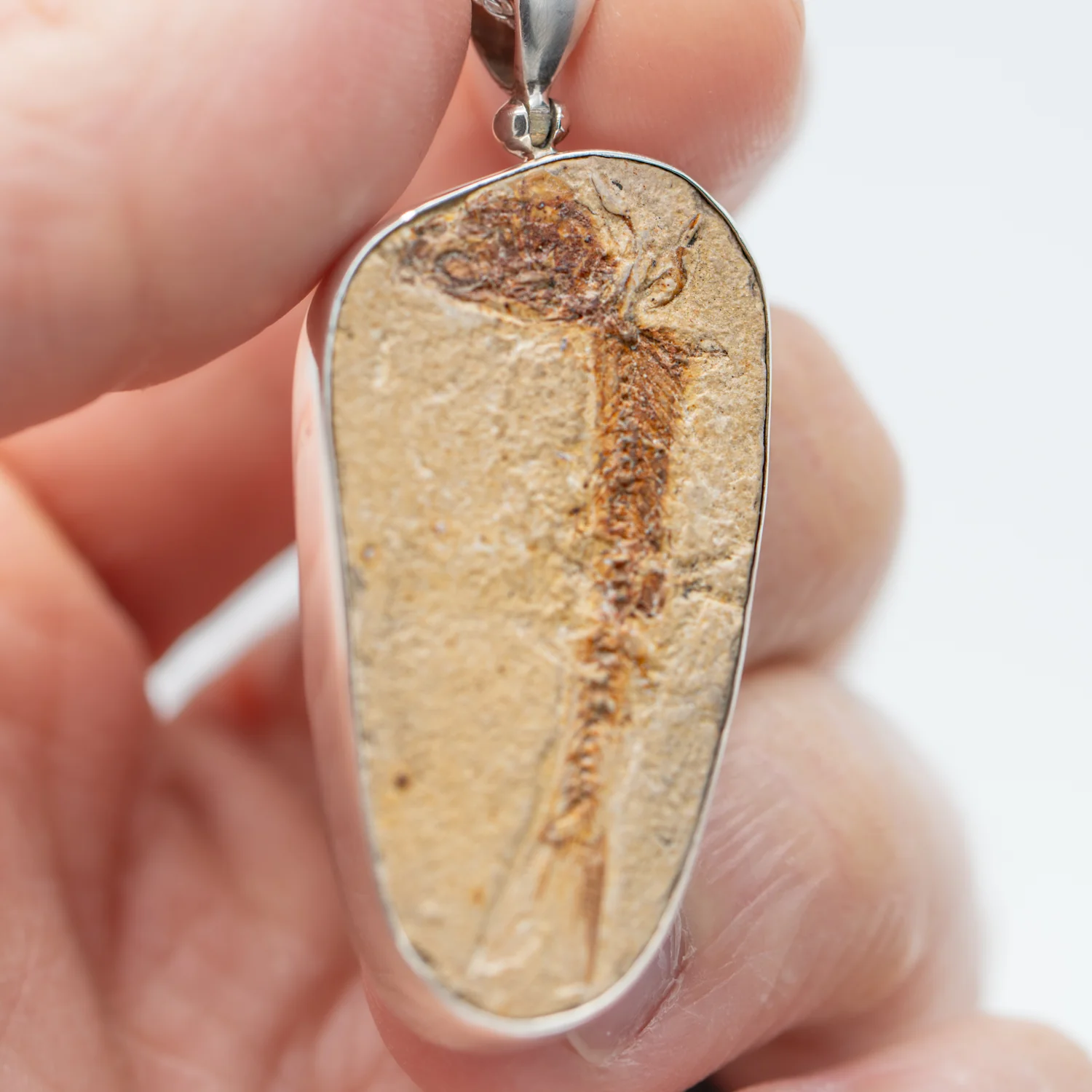Fossil Fish Pendant - SOLD 1.61" - Image 3