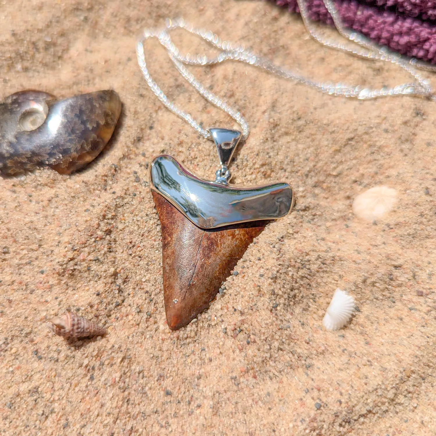 Fossil Shark Tooth Pendant - Image 11