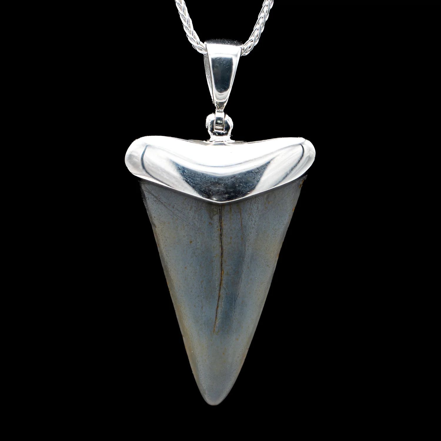 Fossil Shark Tooth Pendant - Image 12