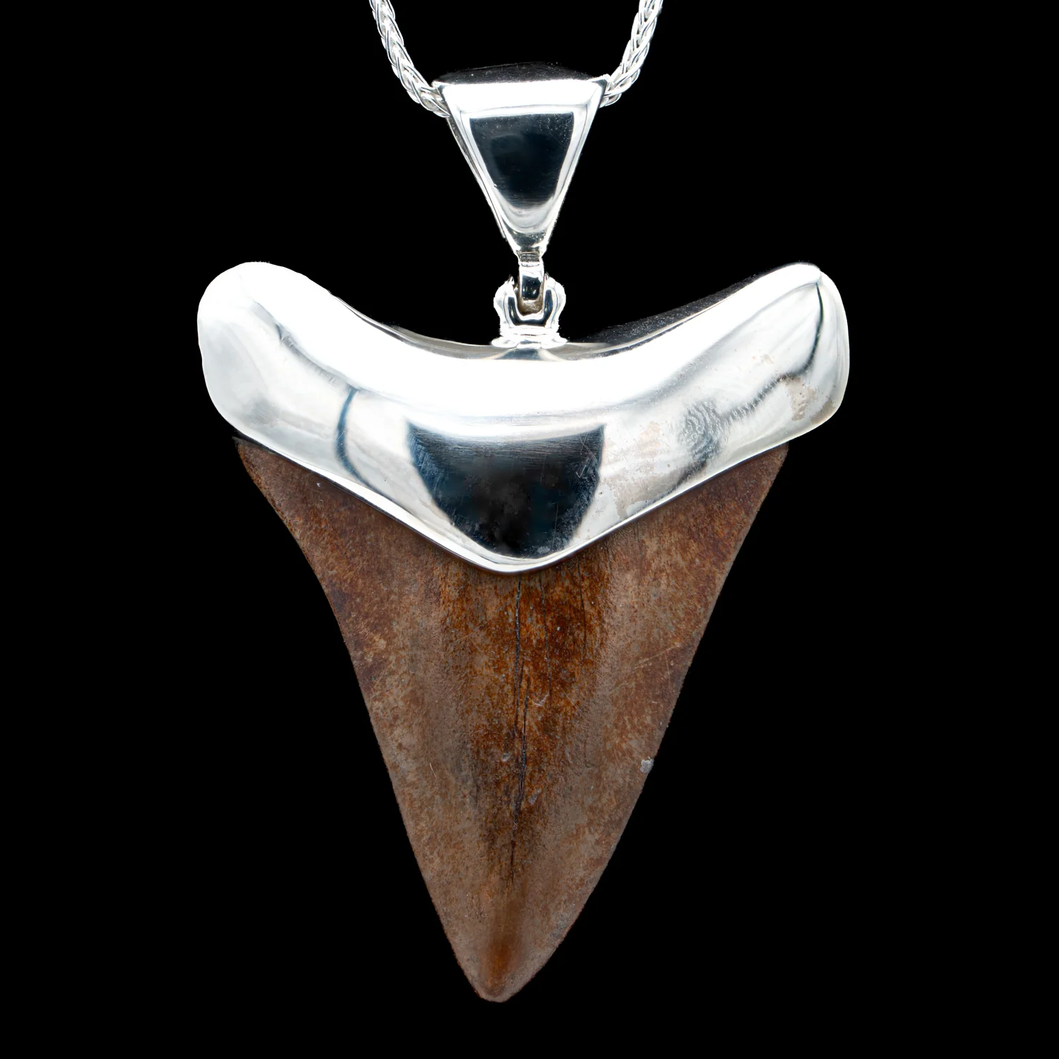 Fossil Shark Tooth Pendant - Image 13