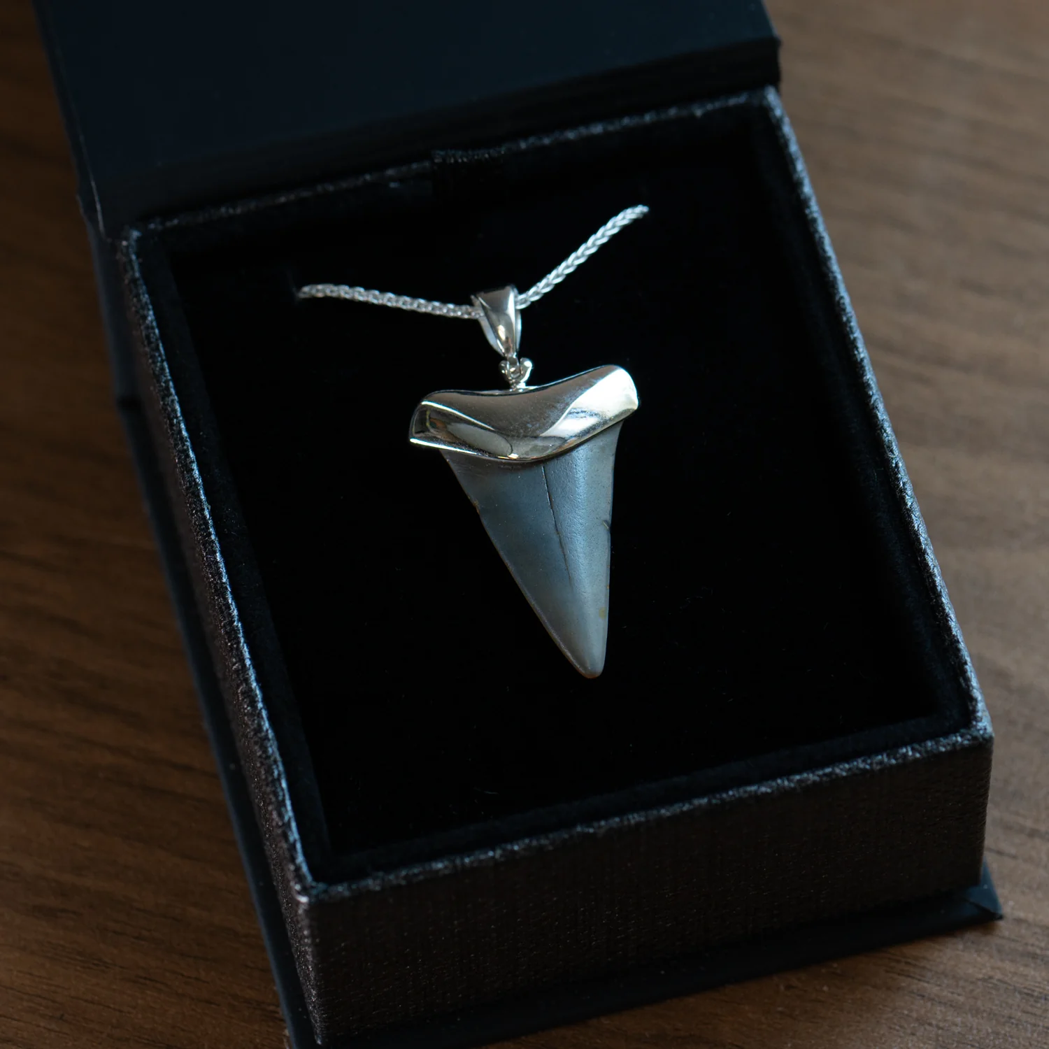 Fossil Shark Tooth Pendant - Image 4