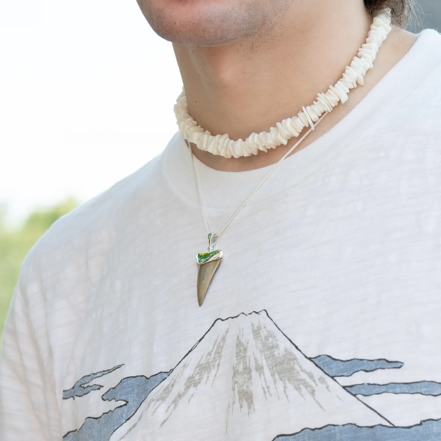 Fossil Shark Tooth Pendant - Image 6