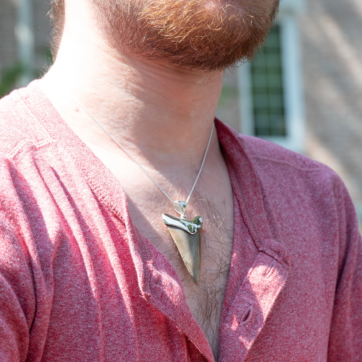 Fossil Shark Tooth Pendant - Image 9