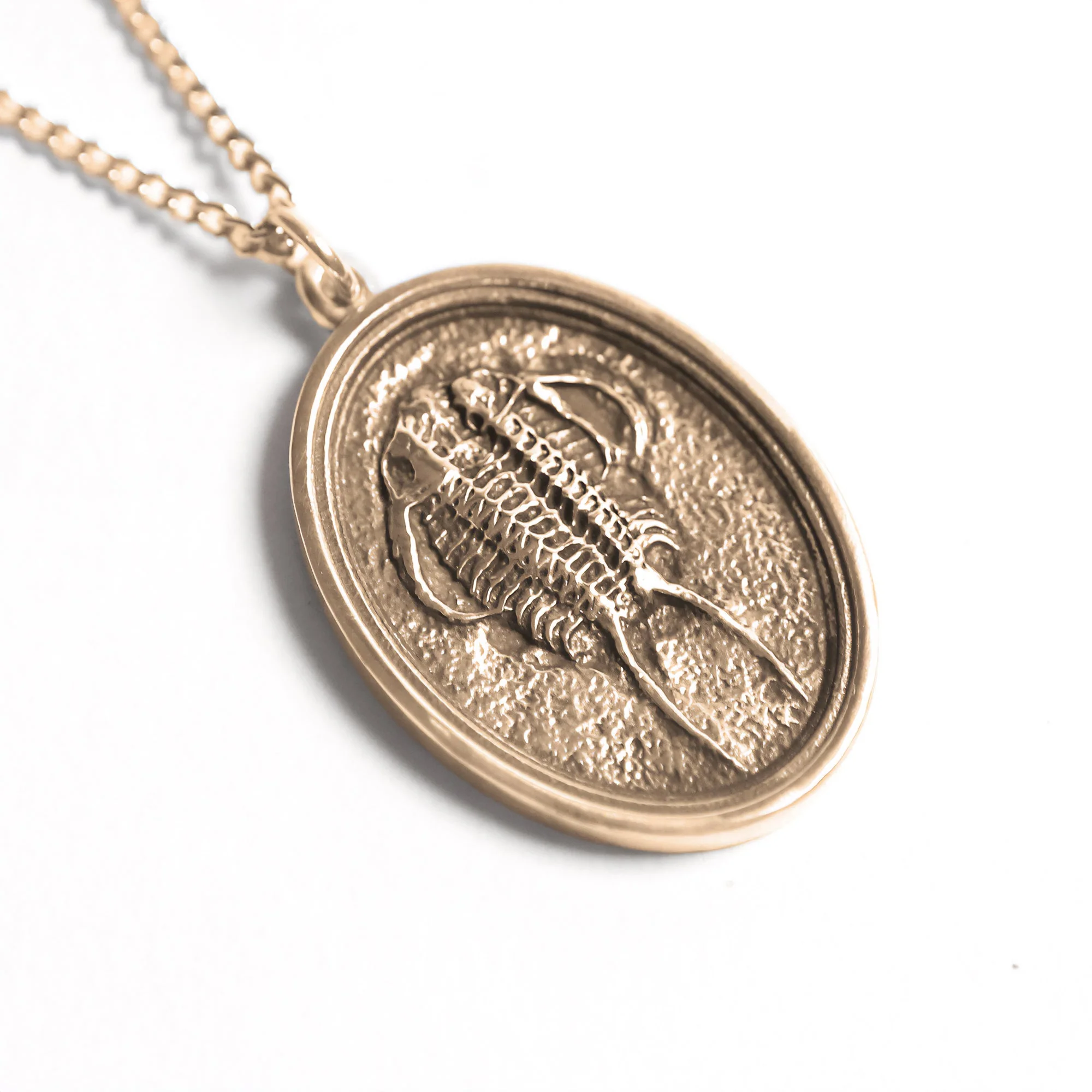 Fossil Trilobite Pendant - Image 2