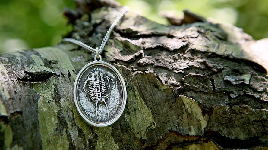 Fossil Trilobite Pendant - Image 4