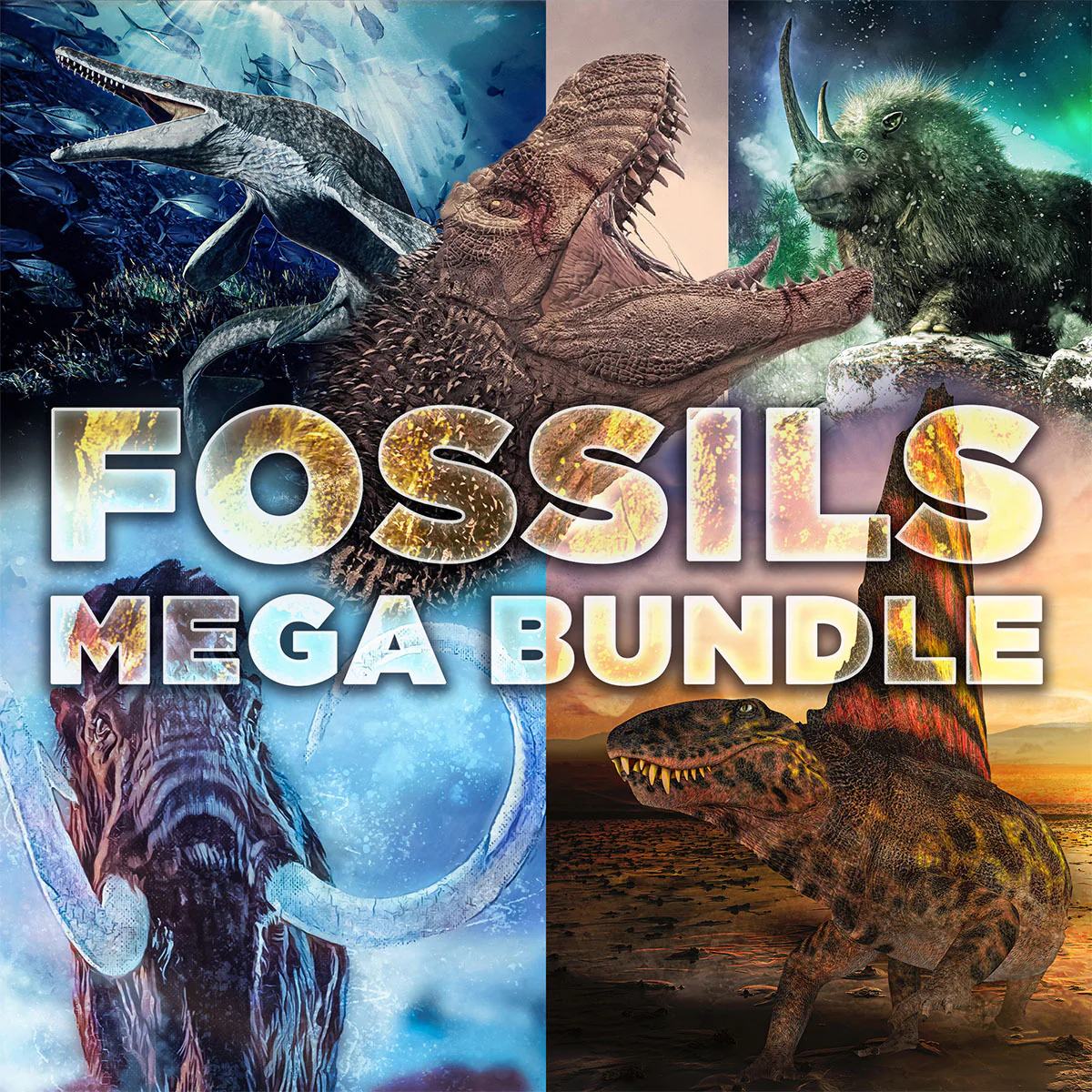 Fossils Mega Bundle