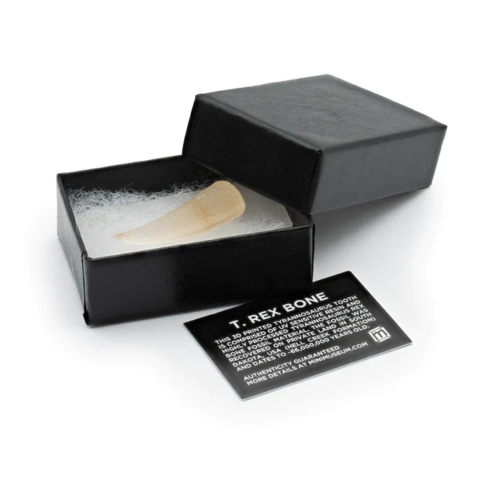 Future Paleontologist Fossil Bundle - Image 4