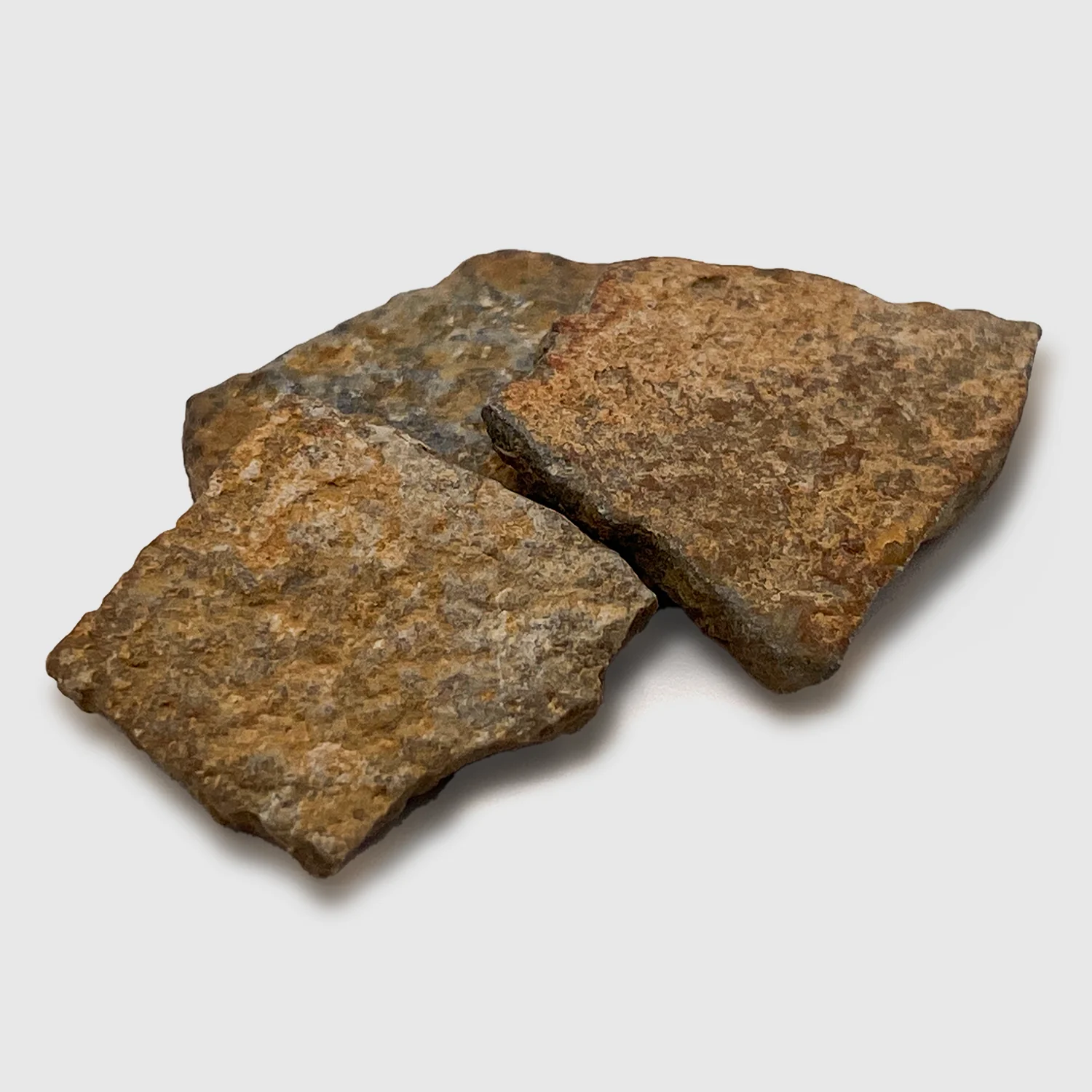 Gastornis Eggshell - Image 3