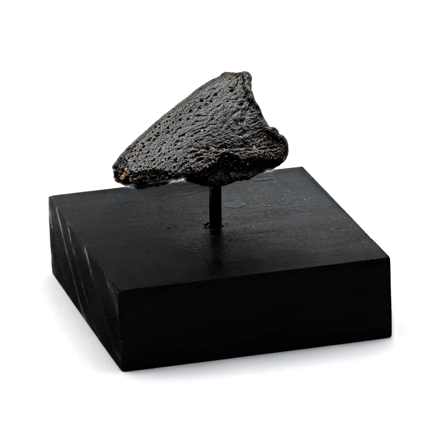 Glyptodon Claw - SOLD 1.71" with Stand