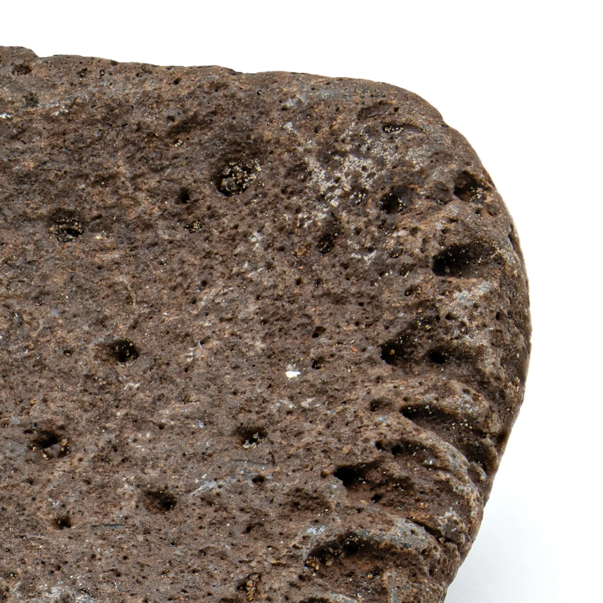 Glyptodon Scute - SOLD 2.25" - Image 2