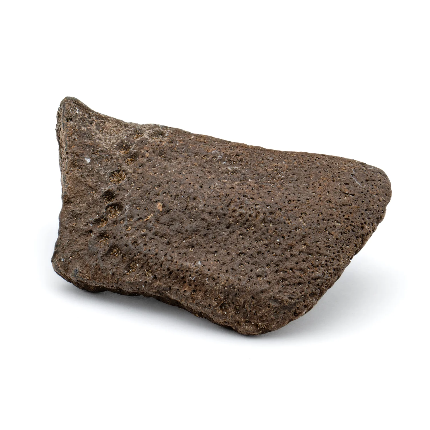 Glyptodon Scute - SOLD 2.25" - Image 3
