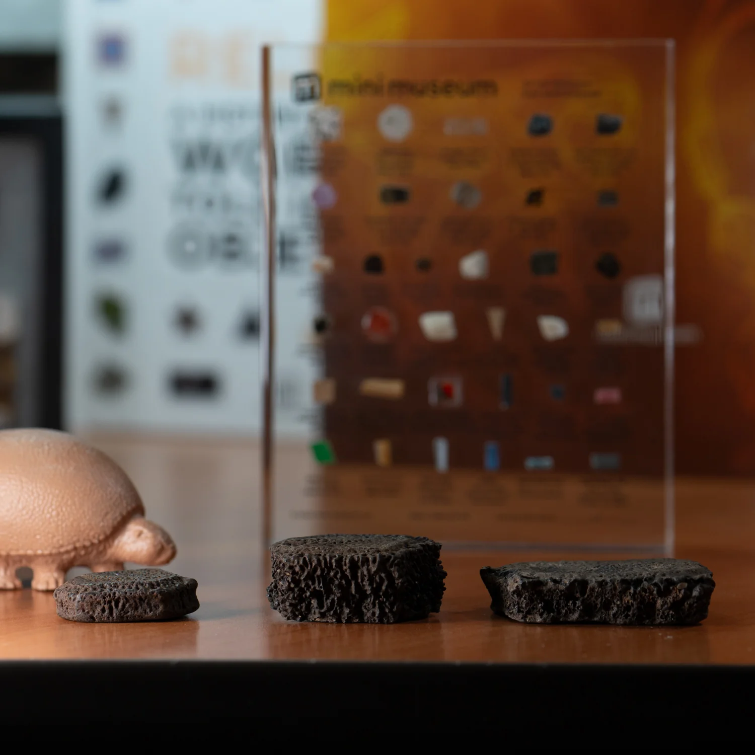 Glyptodon Scute - Hand-Held Specimens - Image 3