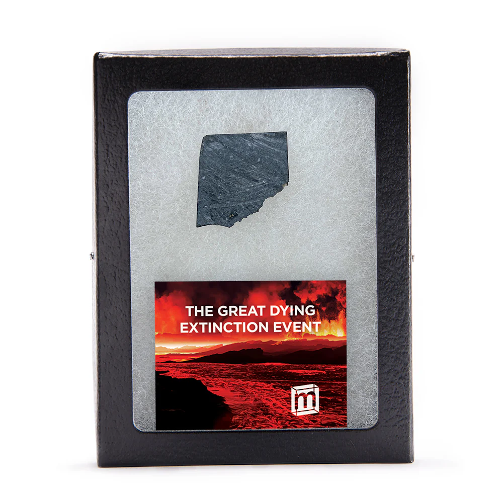 The Great Dying Extinction Event - Siberian Traps Slab - Image 3