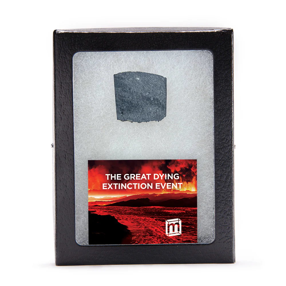 The Great Dying Extinction Event - Siberian Traps Slab - Image 4