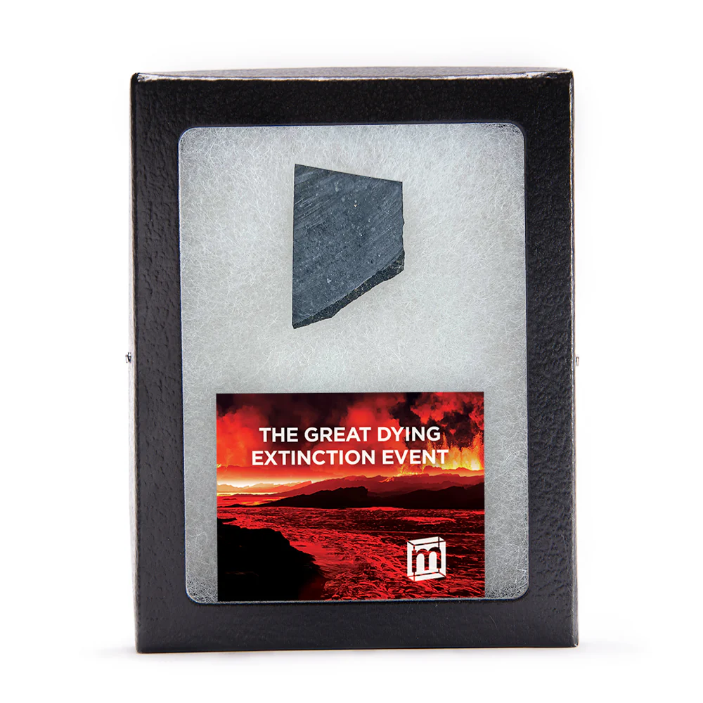 The Great Dying Extinction Event - Siberian Traps Slab - Image 5