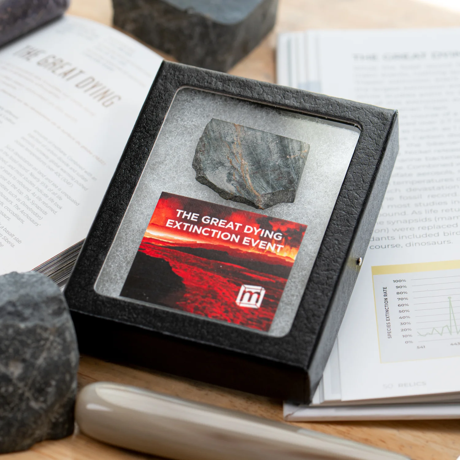 The Great Dying Extinction Event - Siberian Traps Slab - Image 6