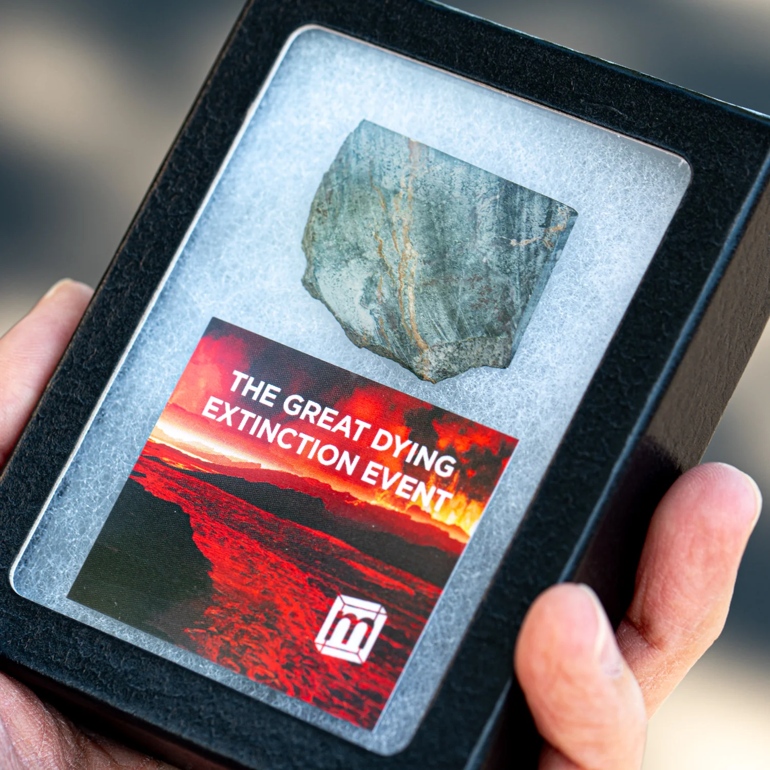 The Great Dying Extinction Event - Siberian Traps Slab - Image 7