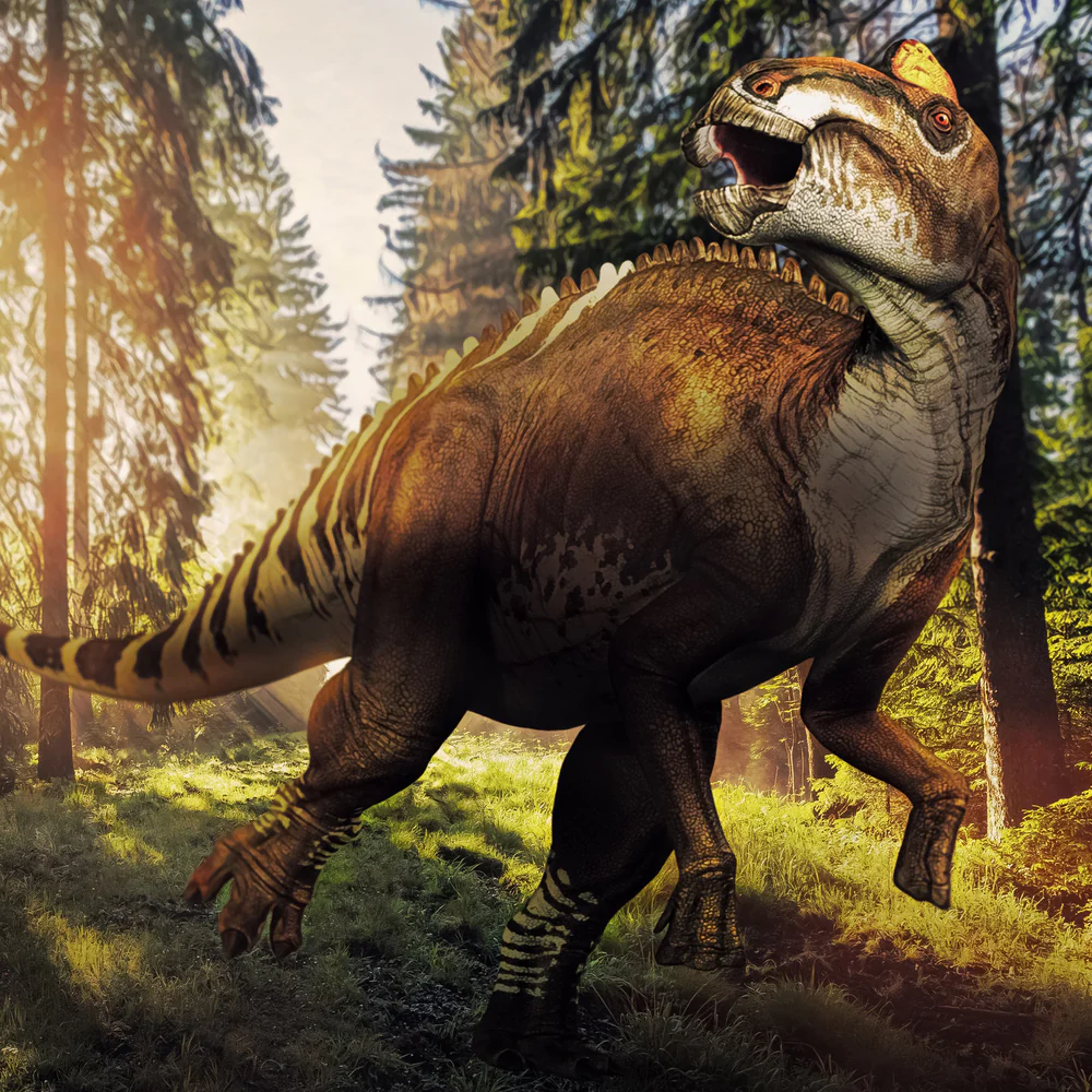 Hadrosaur Bone - Image 2