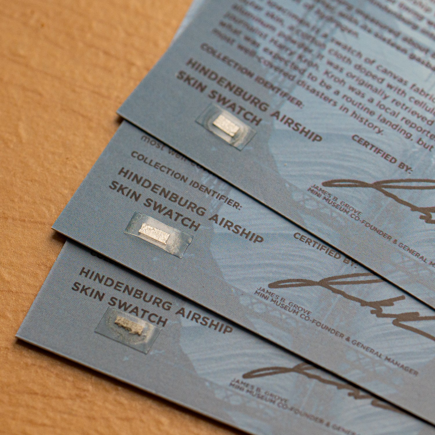 Hindenburg Airship Skin - Card Display - Image 4
