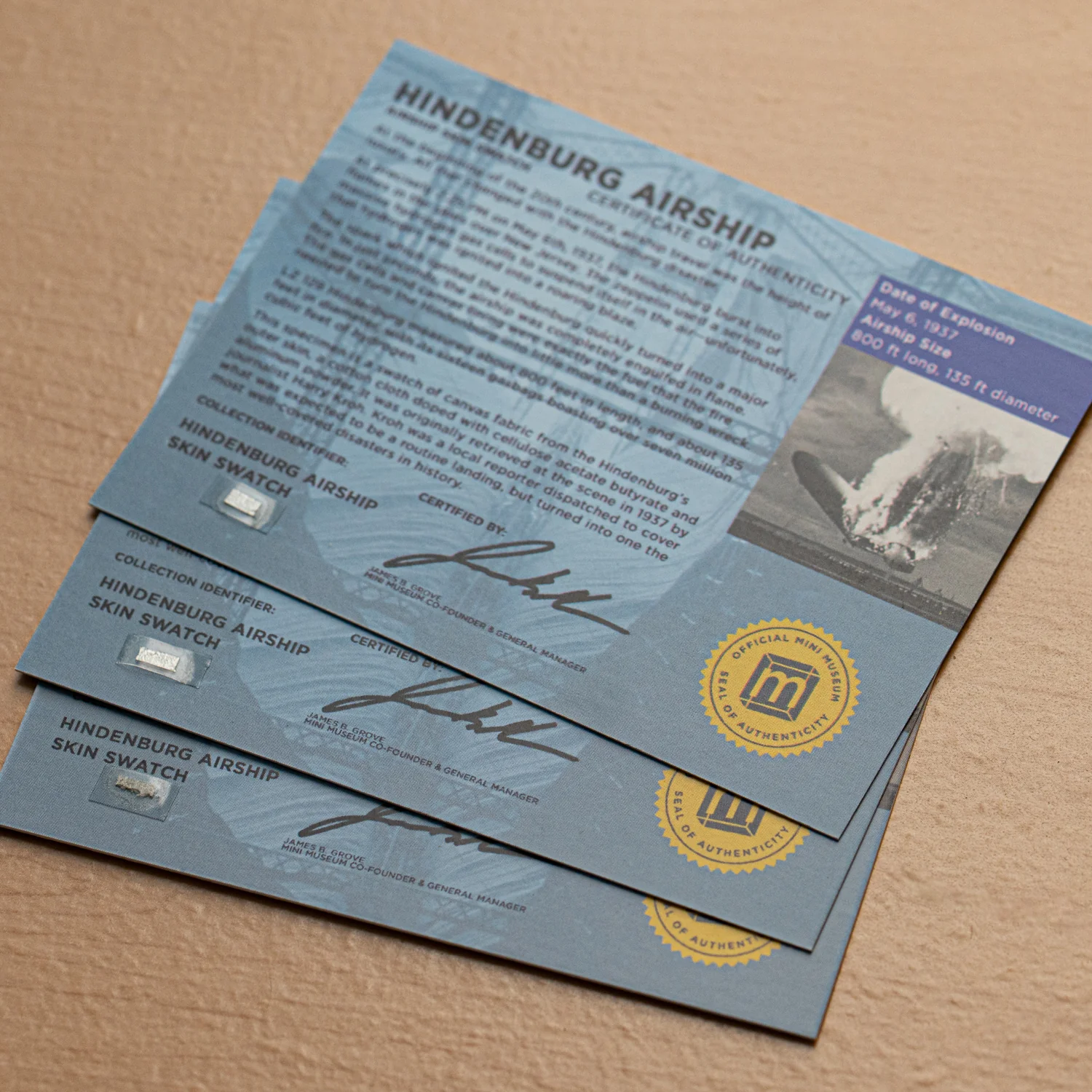 Hindenburg Airship Skin - Card Display - Image 6