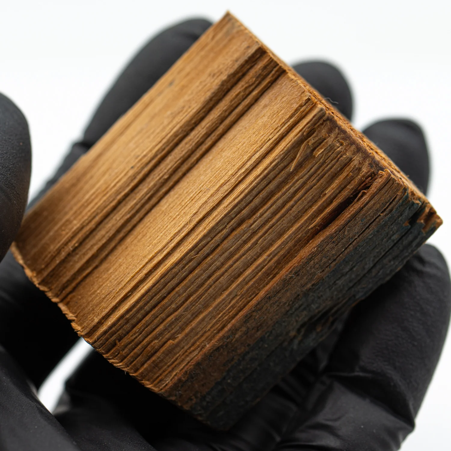 Hollywood Sign - 1.857" Wood Fragment - Image 2