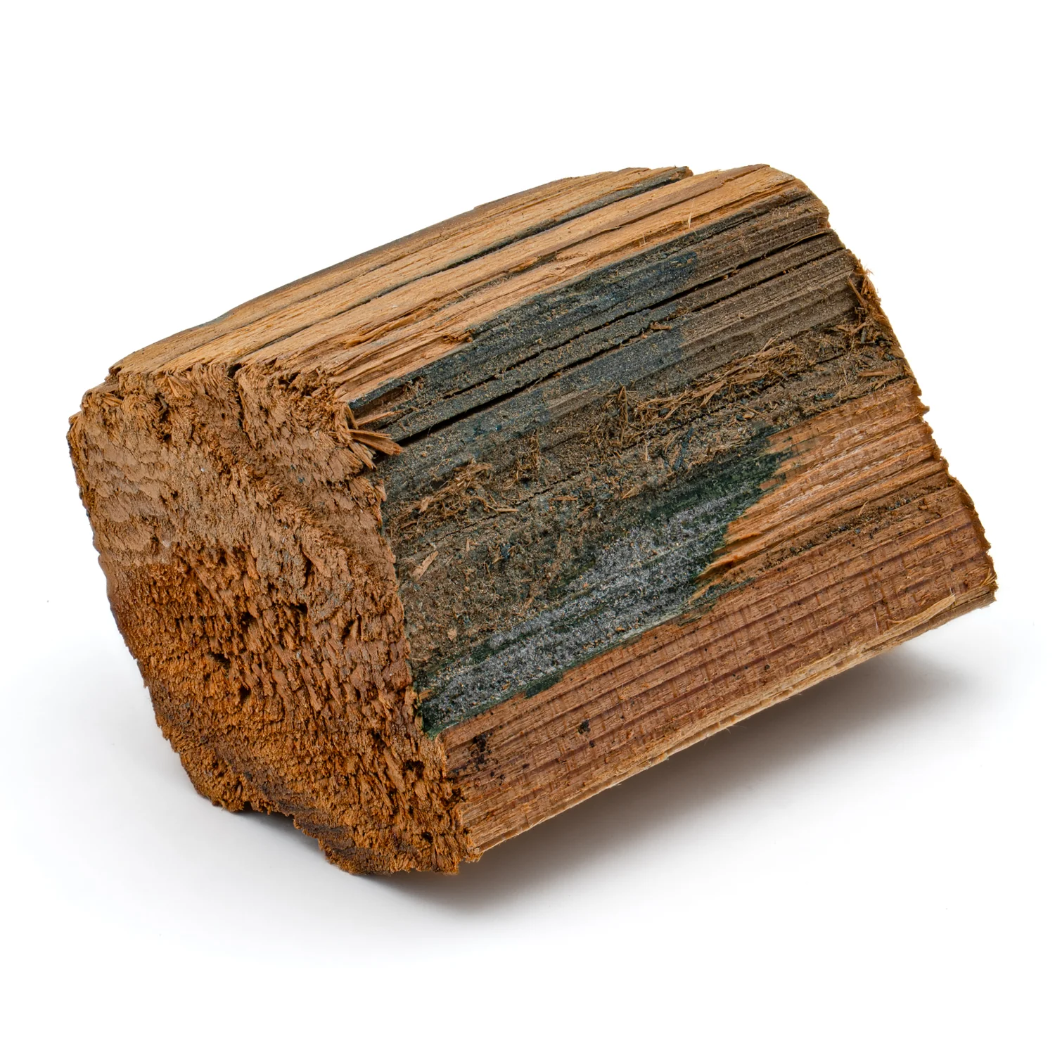 Hollywood Sign - 1.857" Wood Fragment - Image 4