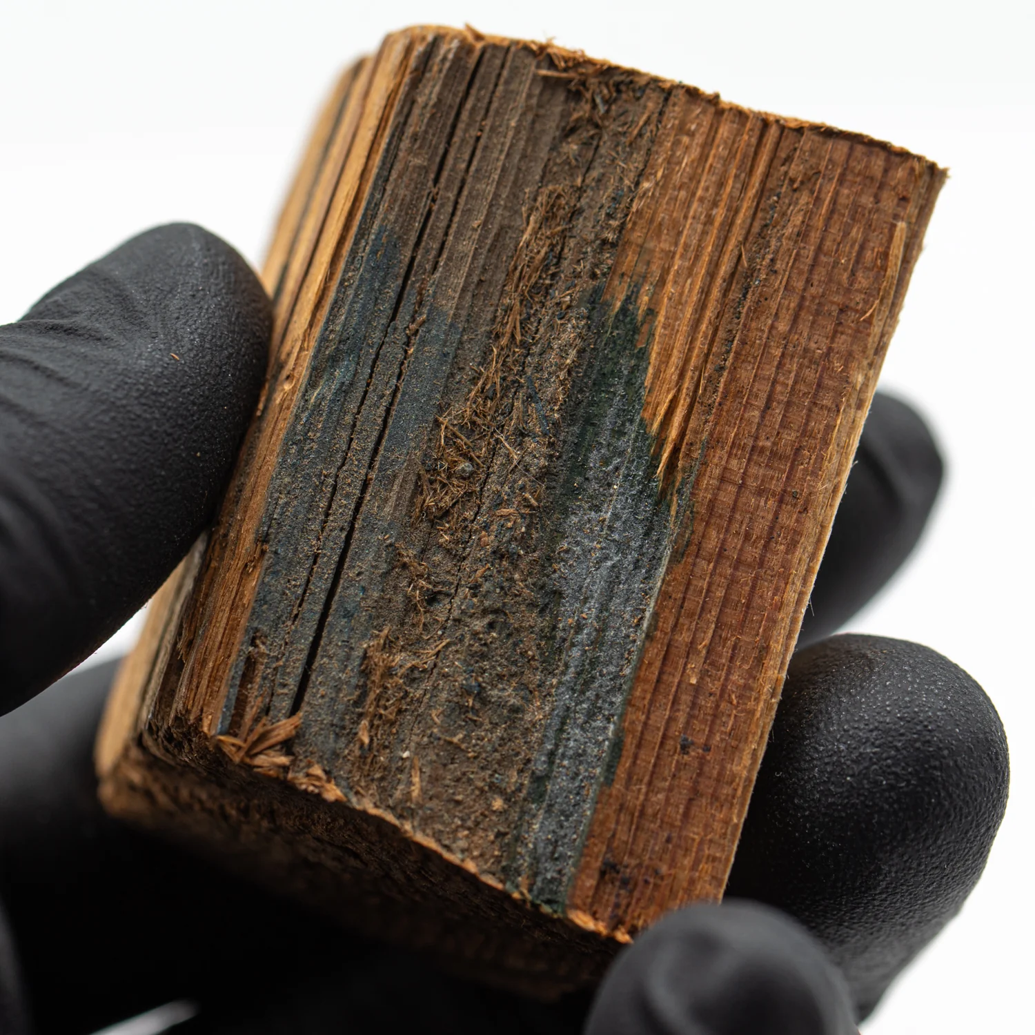 Hollywood Sign - 1.857" Wood Fragment - Image 5