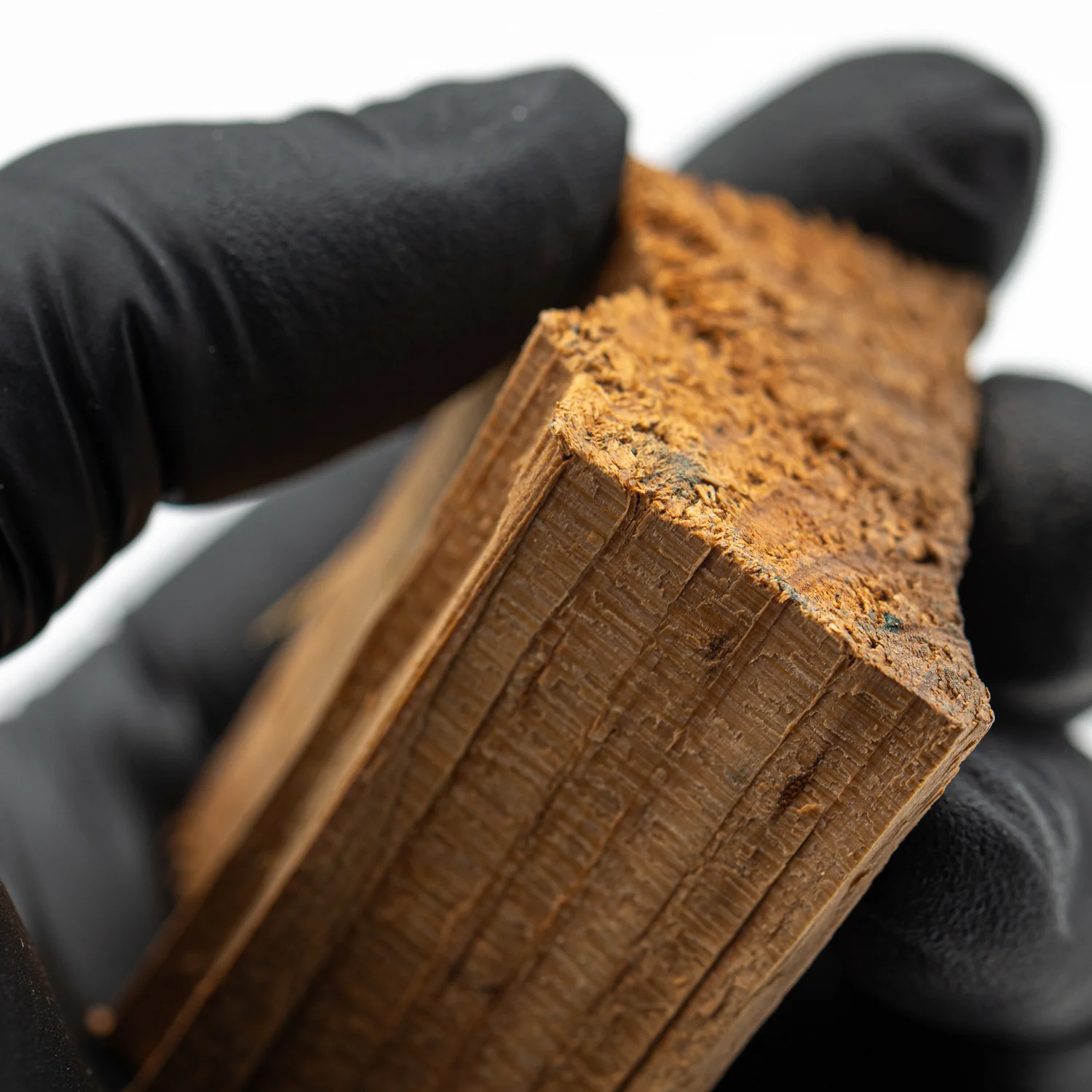 Hollywood Sign - 1.907" Wood Fragment - Image 2